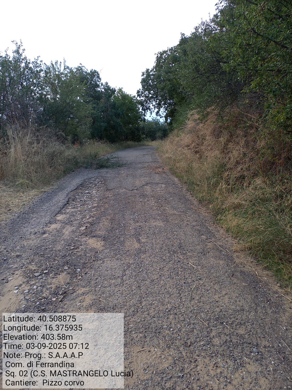 Galleria Fotografica Immagine