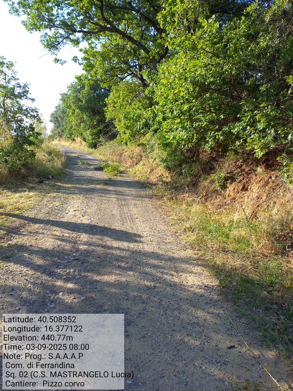 Galleria Fotografica Immagine