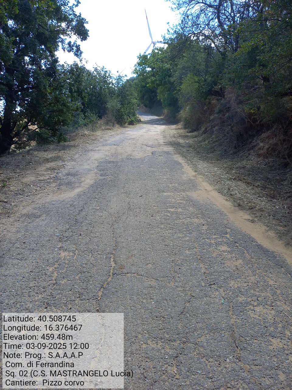 Galleria Fotografica Immagine