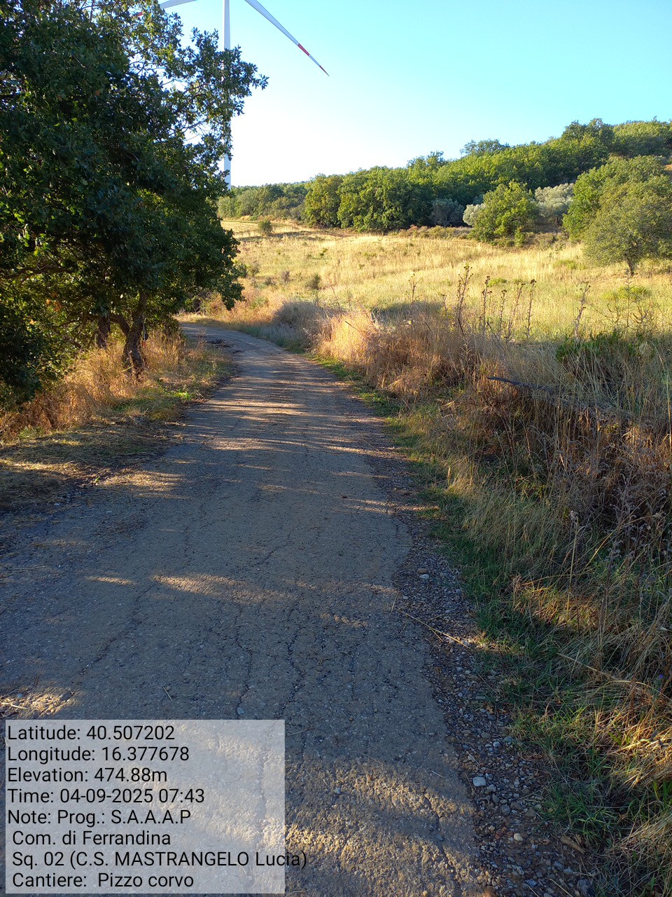 Galleria Fotografica Immagine