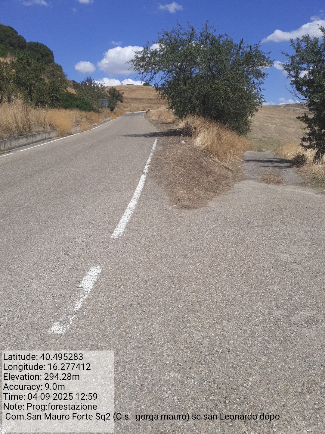 Galleria Fotografica Immagine