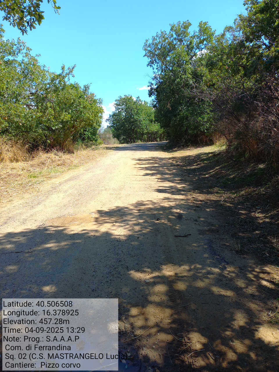 Galleria Fotografica Immagine