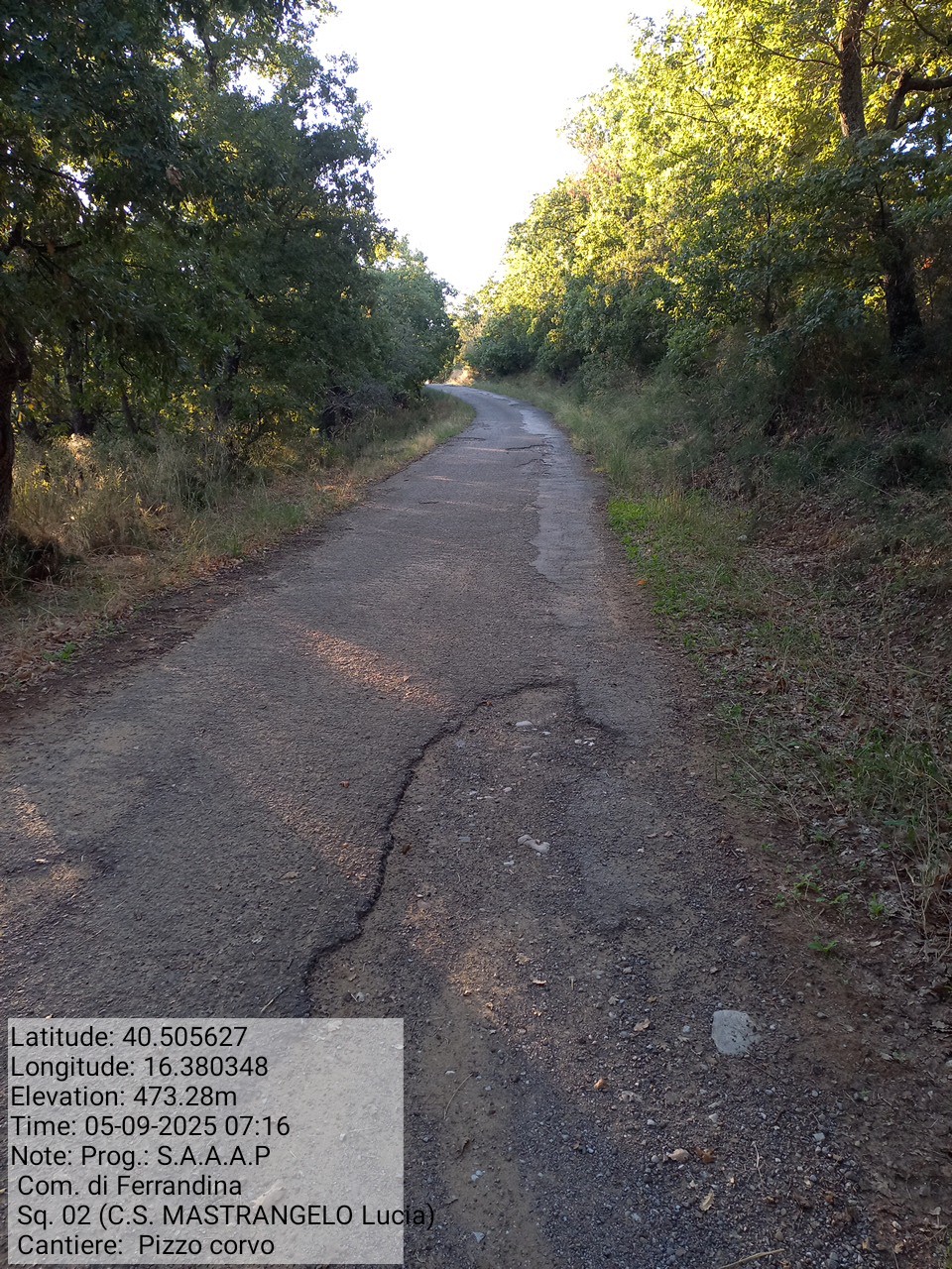 Galleria Fotografica Immagine