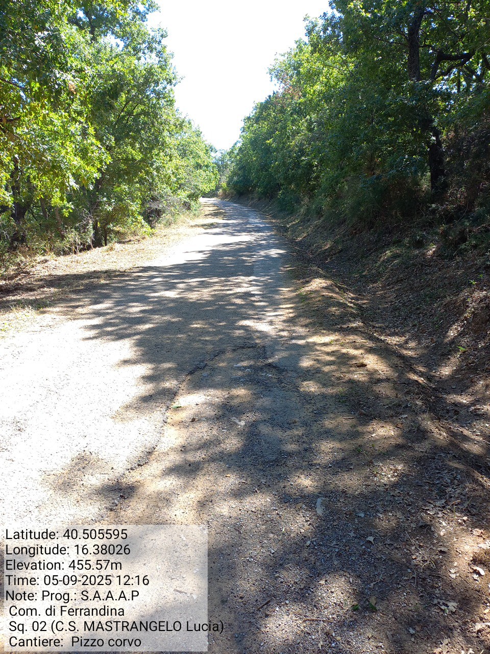 Galleria Fotografica Immagine