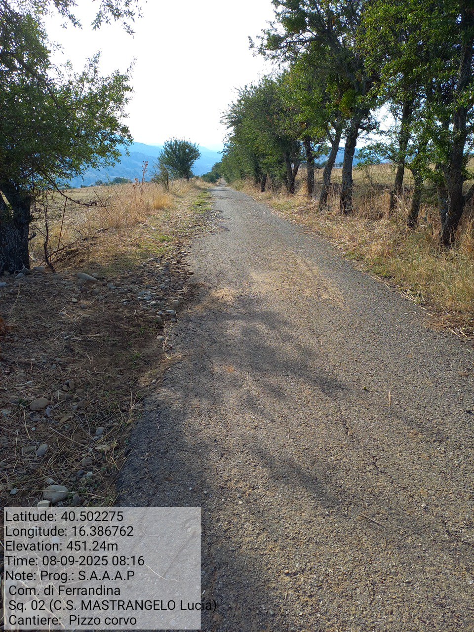 Galleria Fotografica Immagine