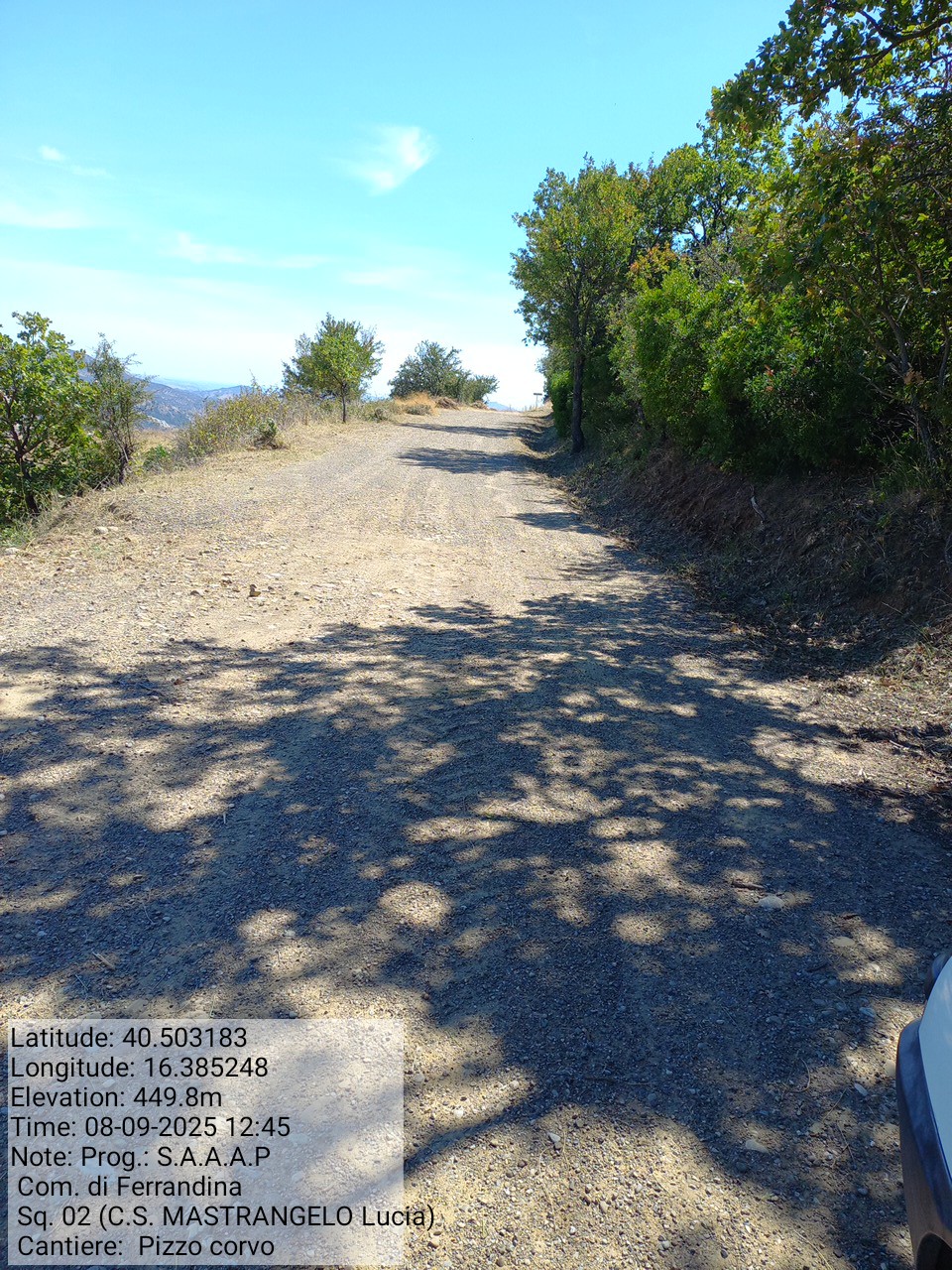 Galleria Fotografica Immagine