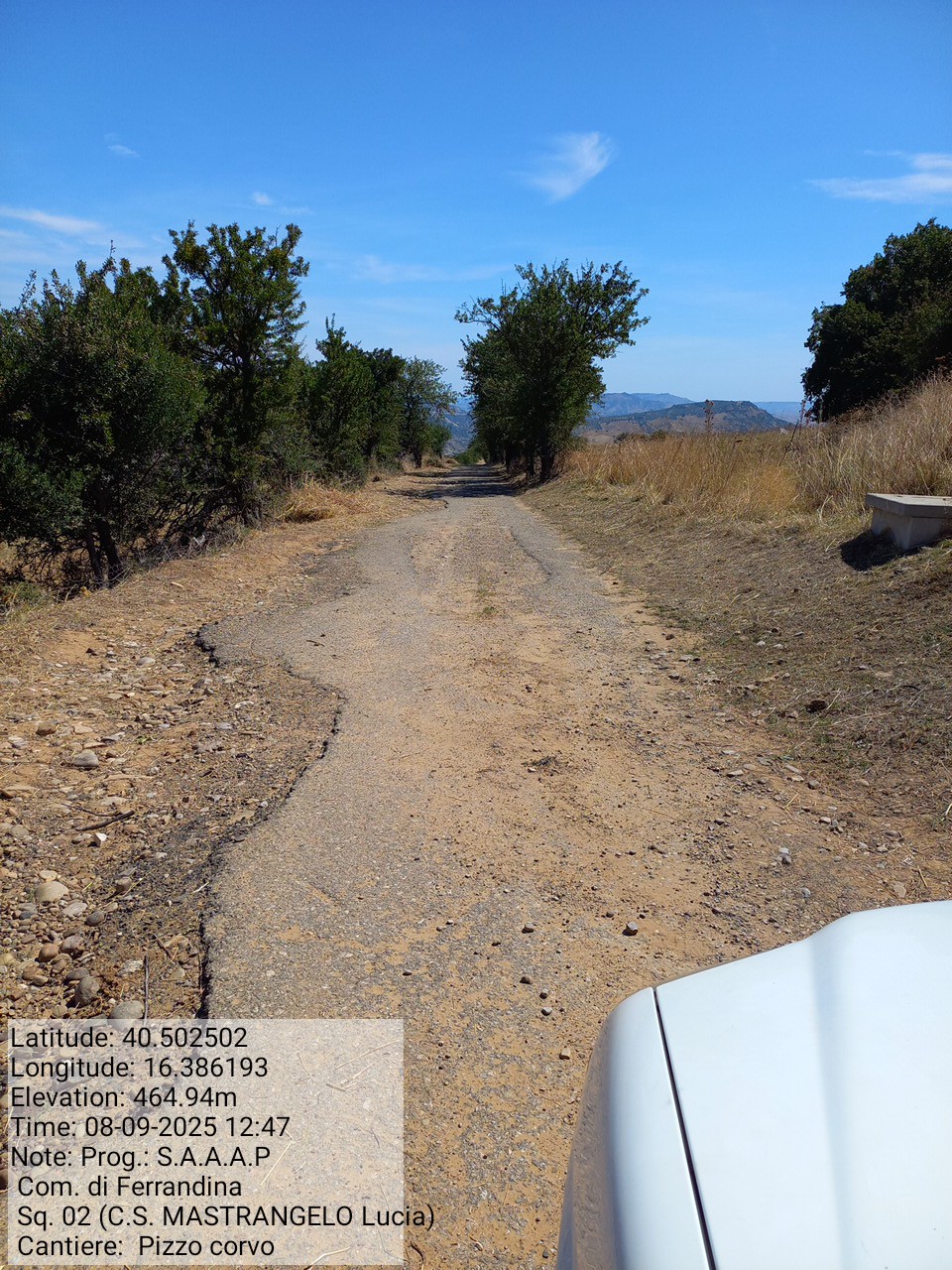 Galleria Fotografica Immagine