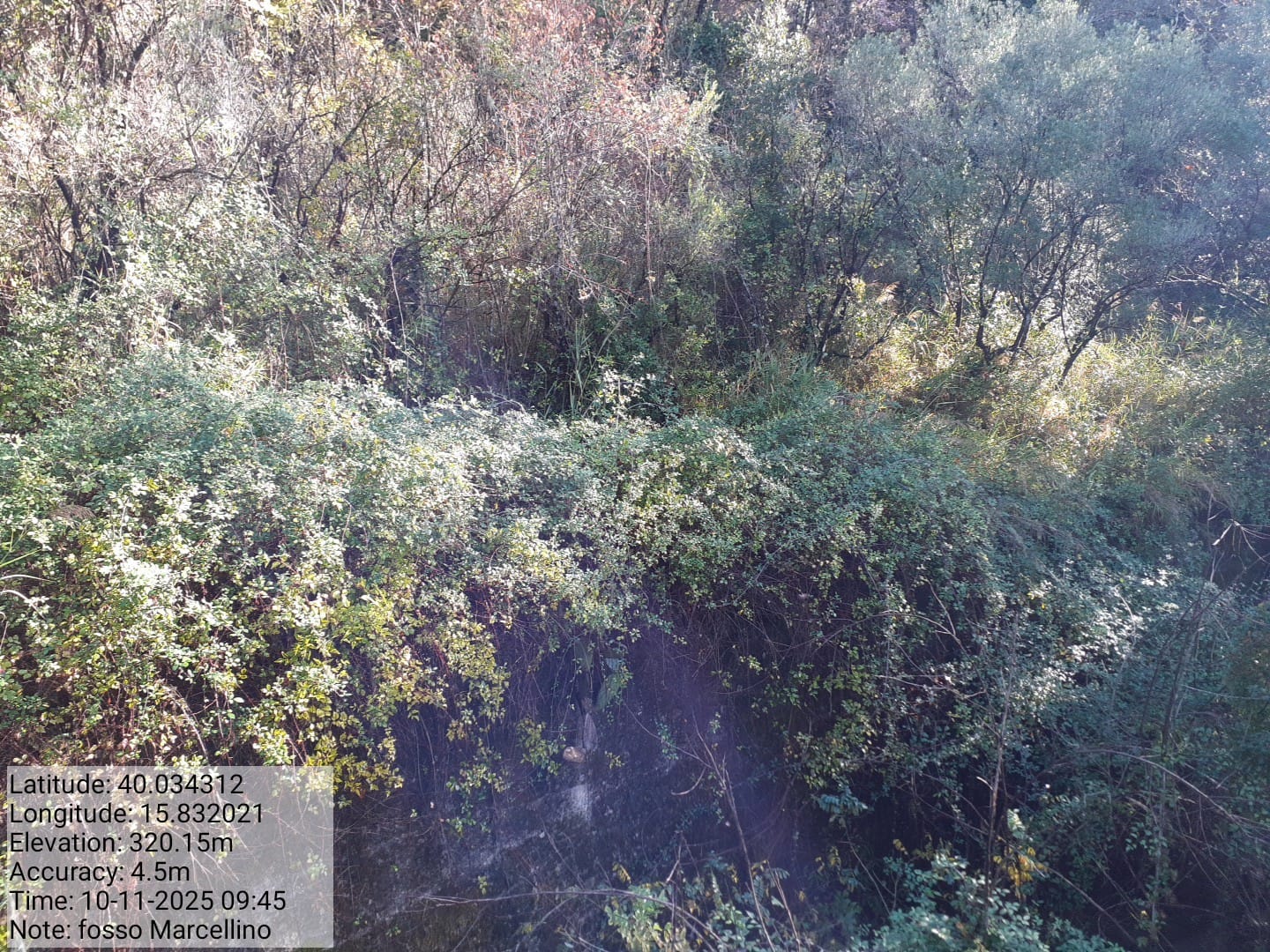 Galleria Fotografica Immagine