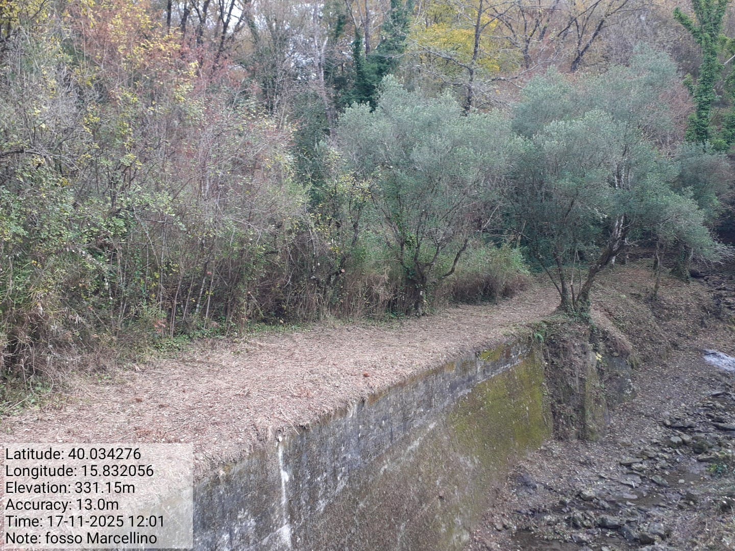 Galleria Fotografica Immagine