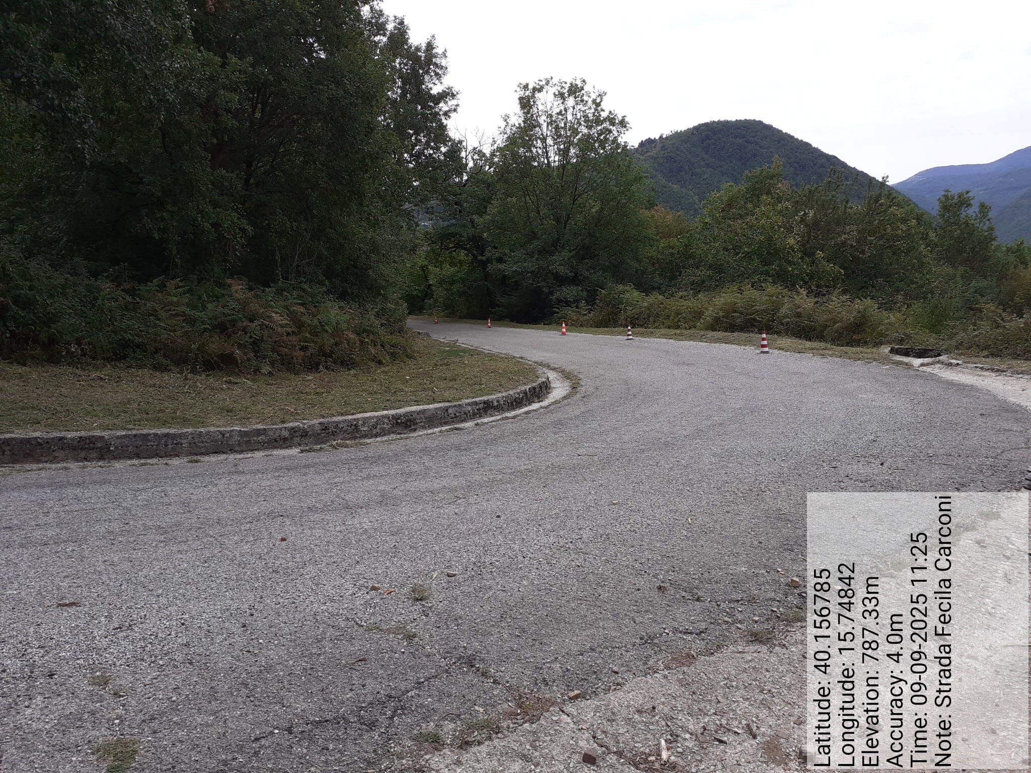 Galleria Fotografica Immagine