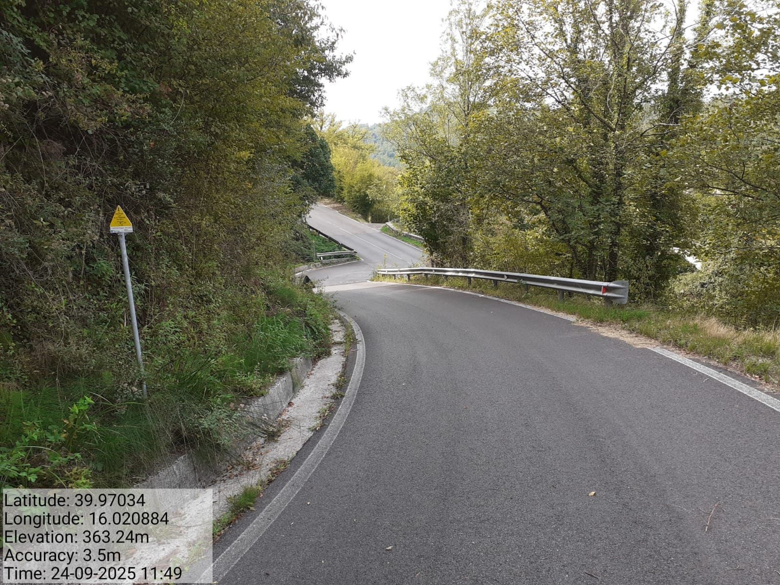 Galleria Fotografica Immagine