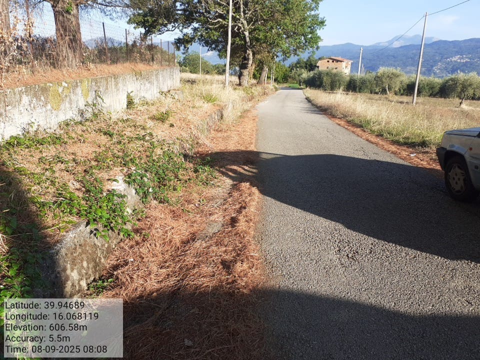 Galleria Fotografica Immagine