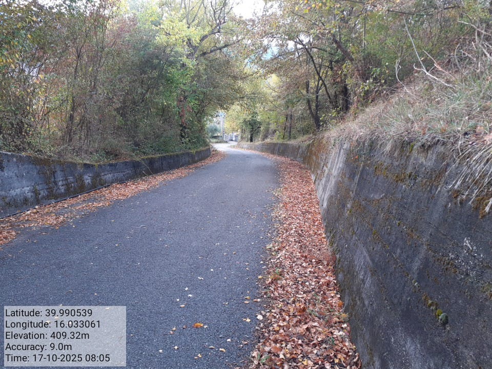 Galleria Fotografica Immagine