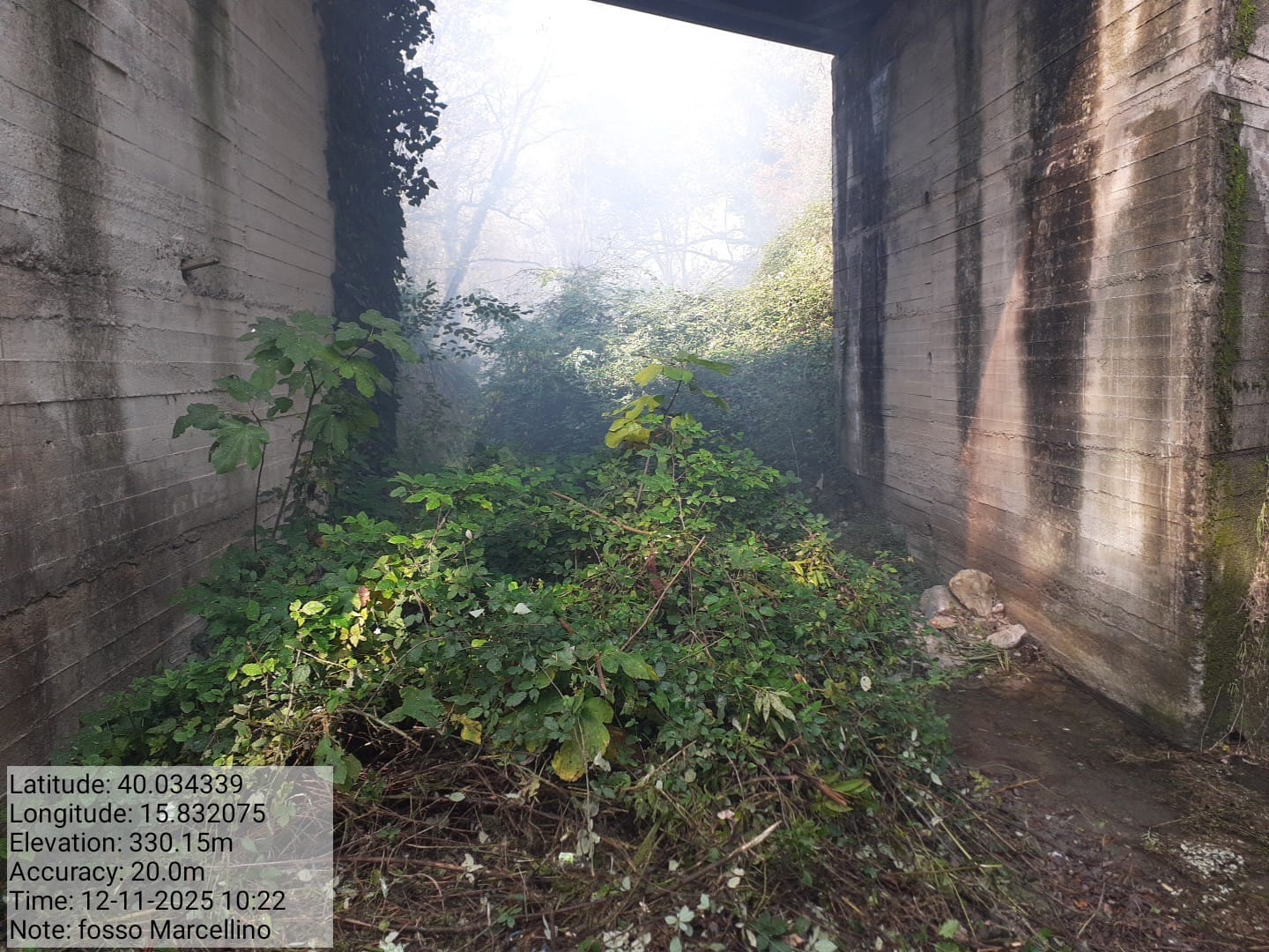 Galleria Fotografica Immagine