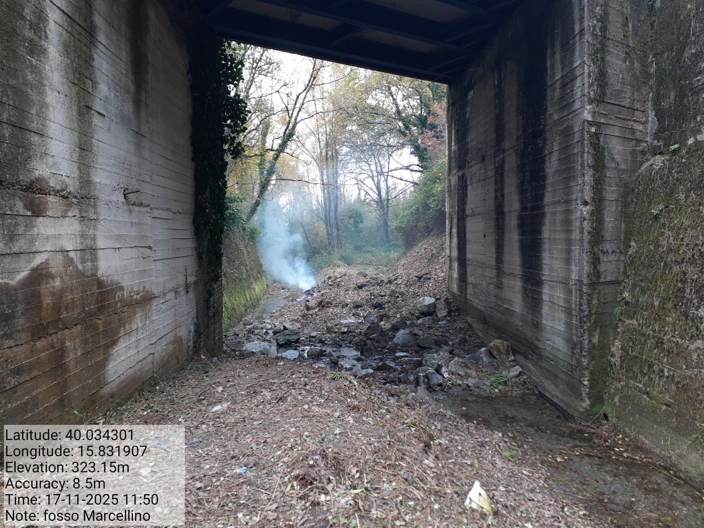 Galleria Fotografica Immagine