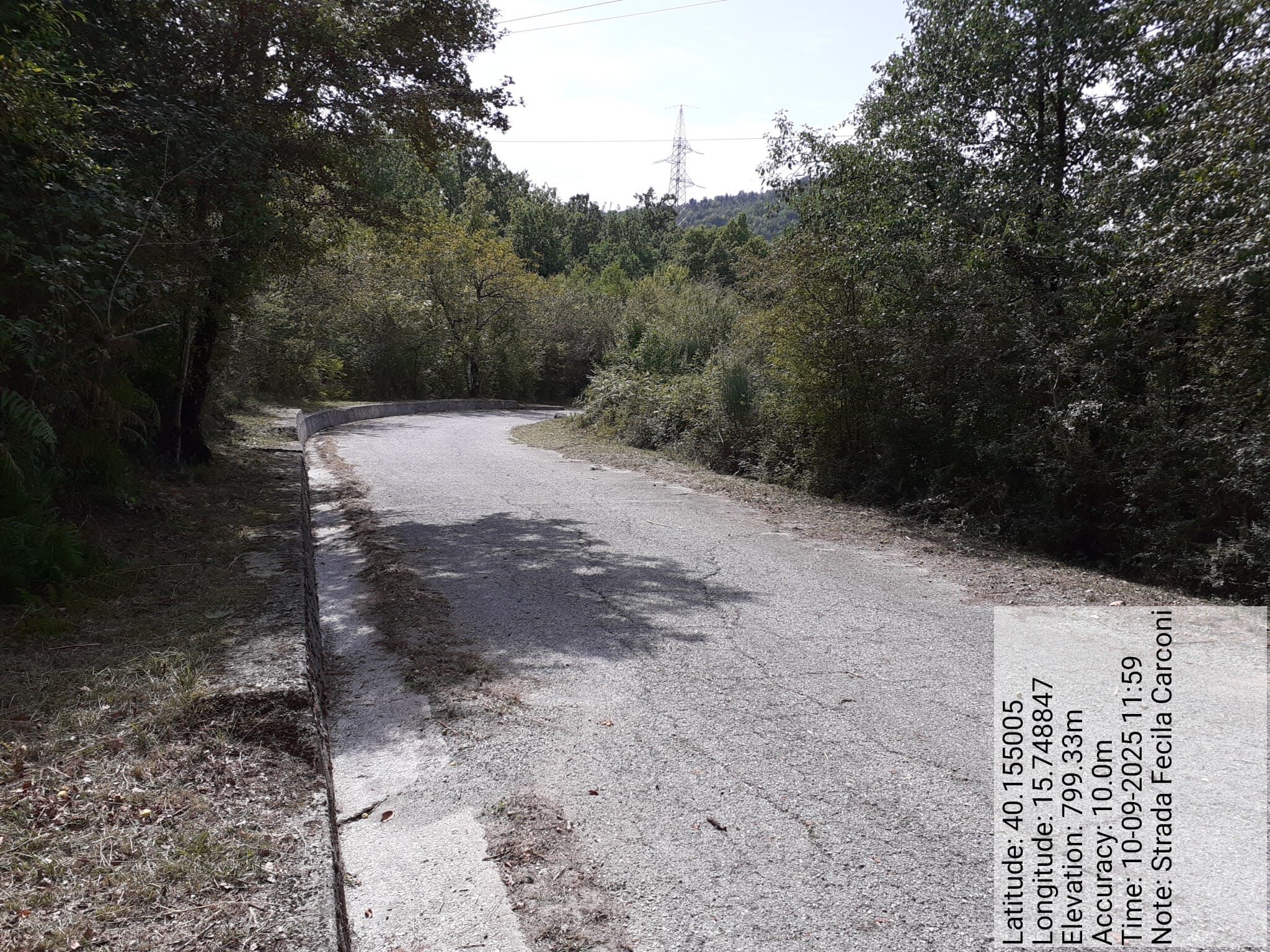 Galleria Fotografica Immagine