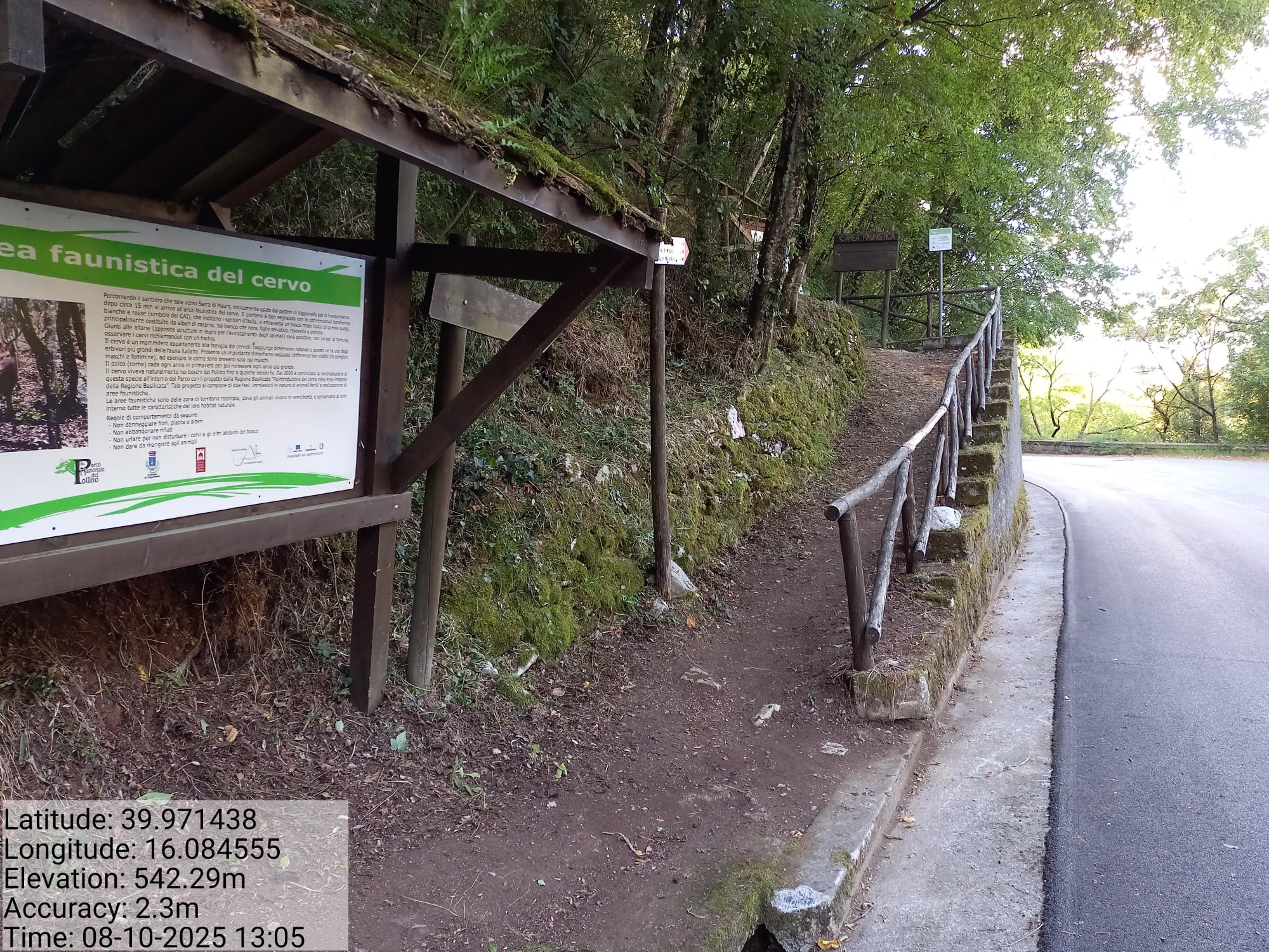 Galleria Fotografica Immagine