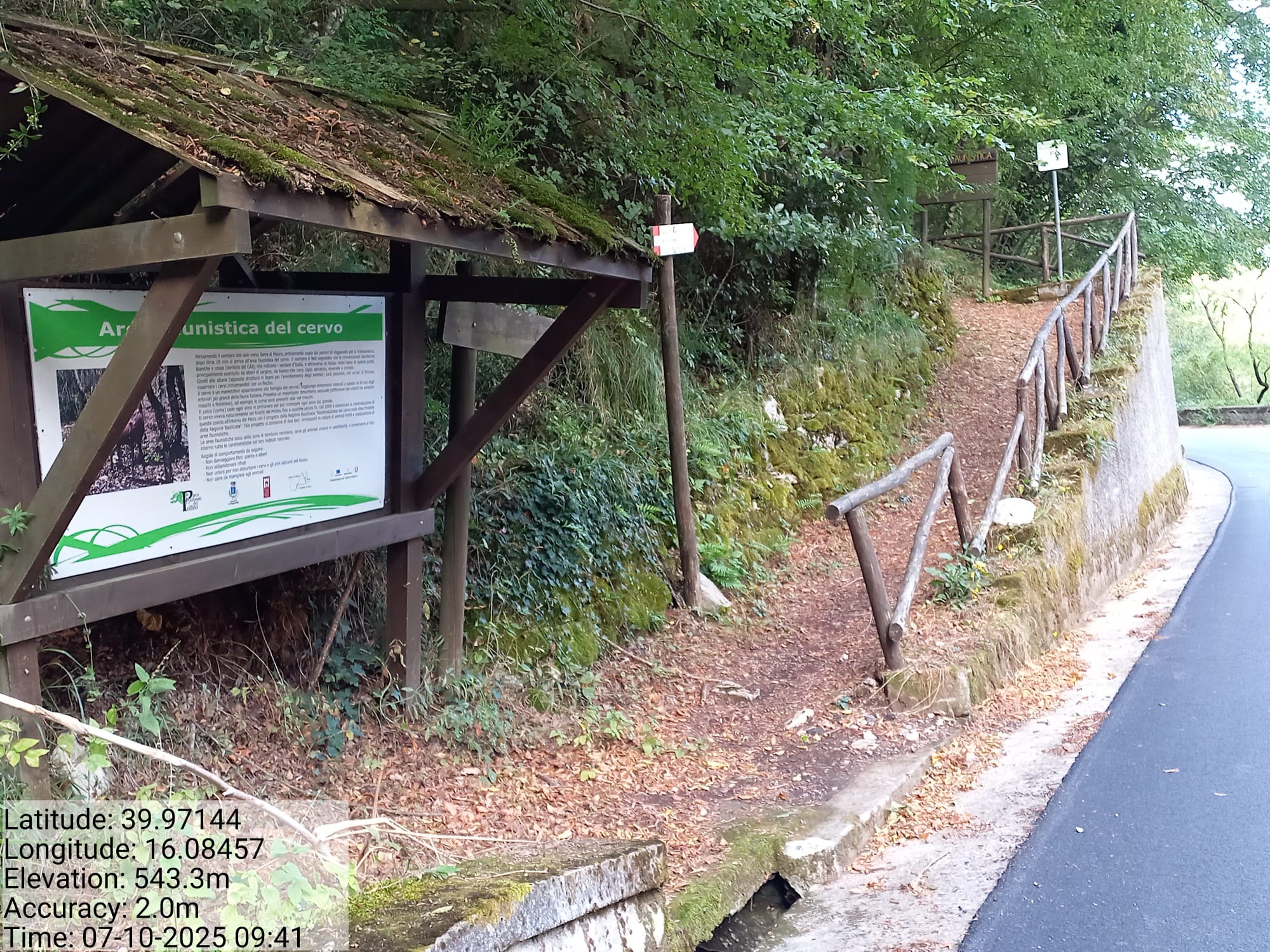 Galleria Fotografica Immagine