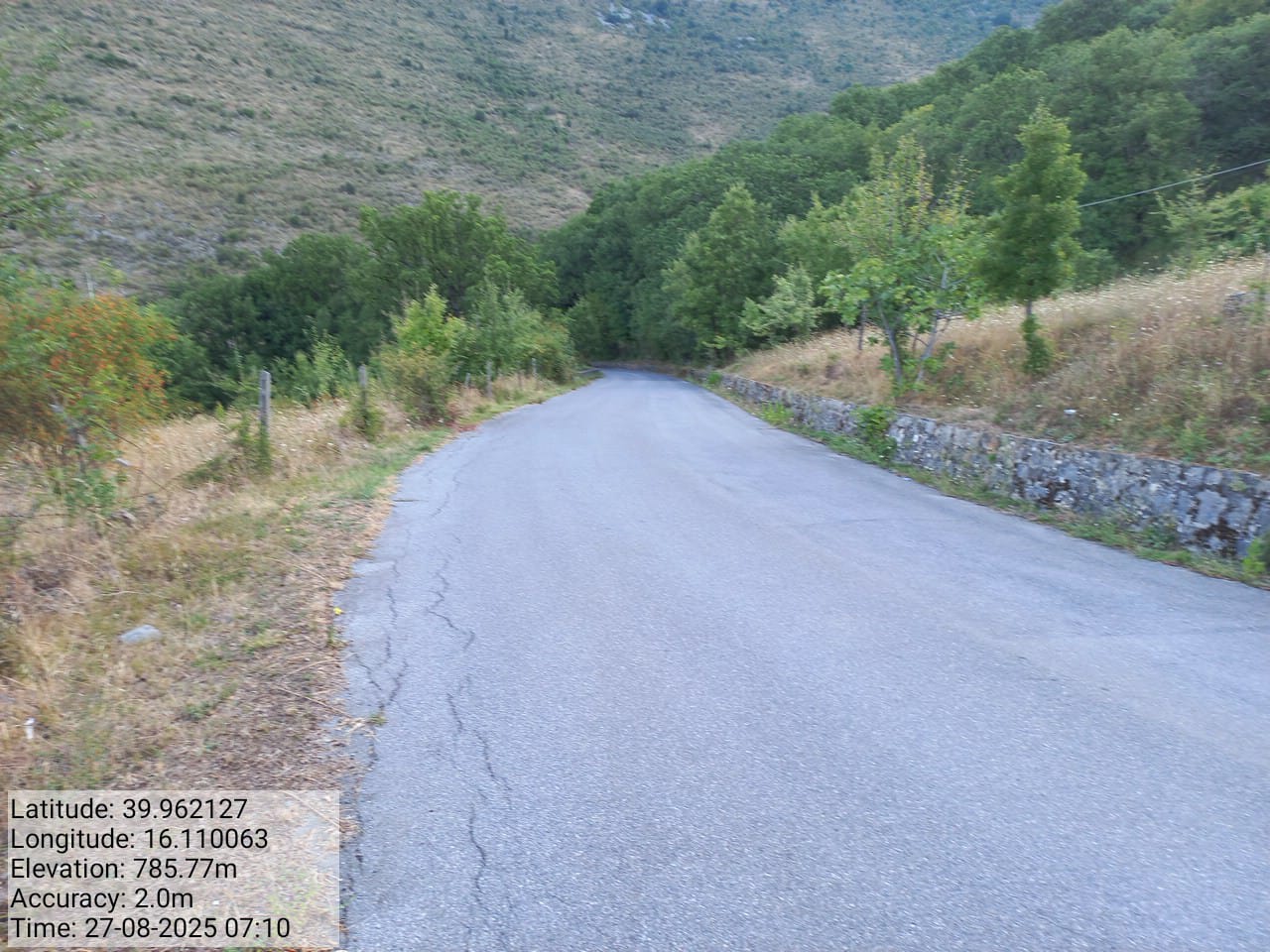 Galleria Fotografica Immagine