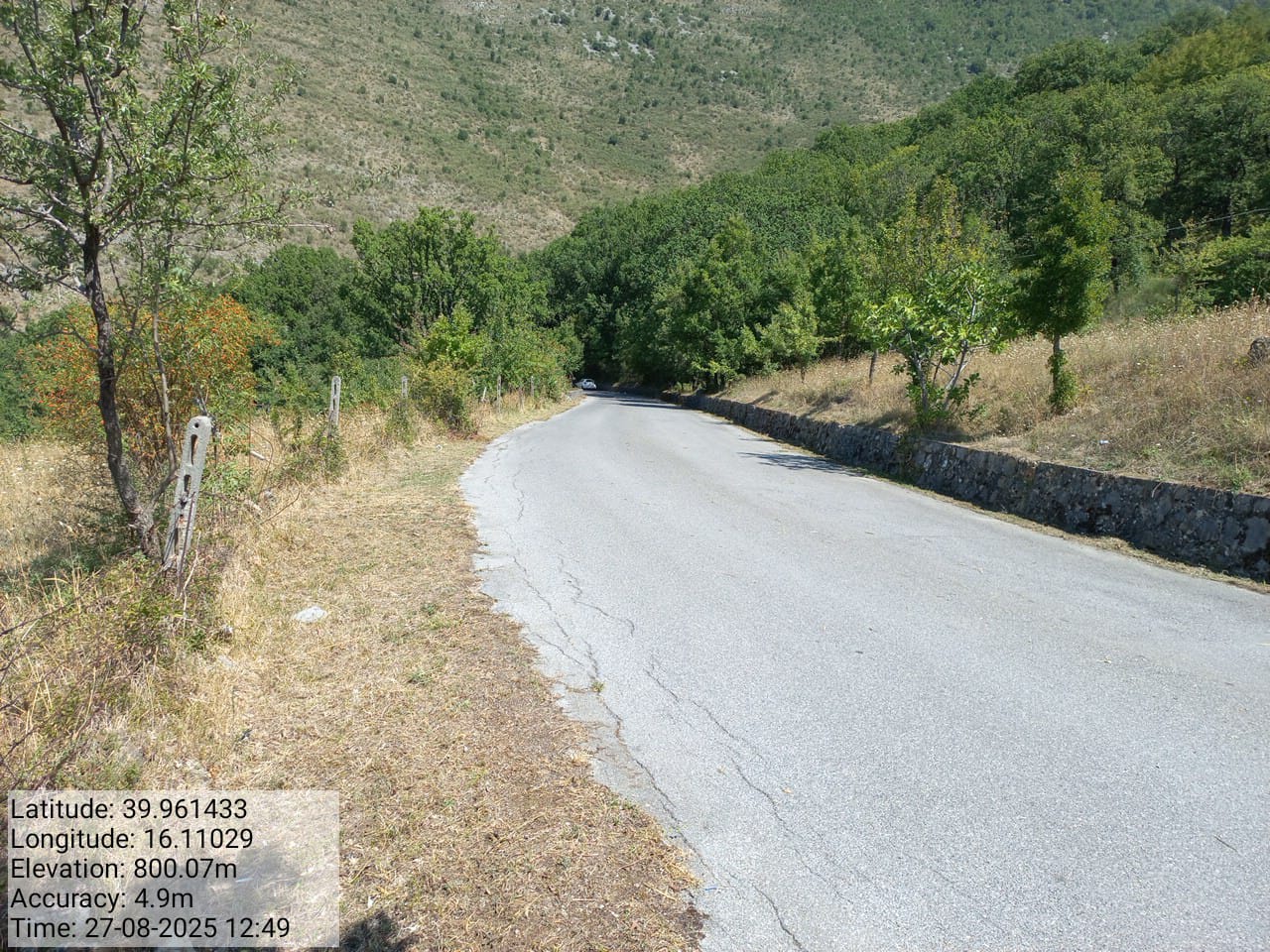 Galleria Fotografica Immagine