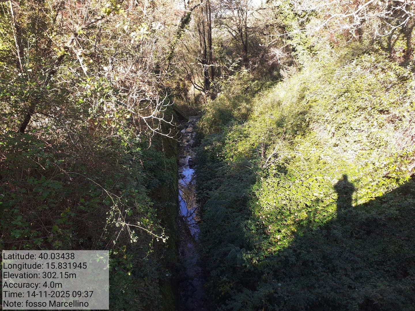 Galleria Fotografica Immagine