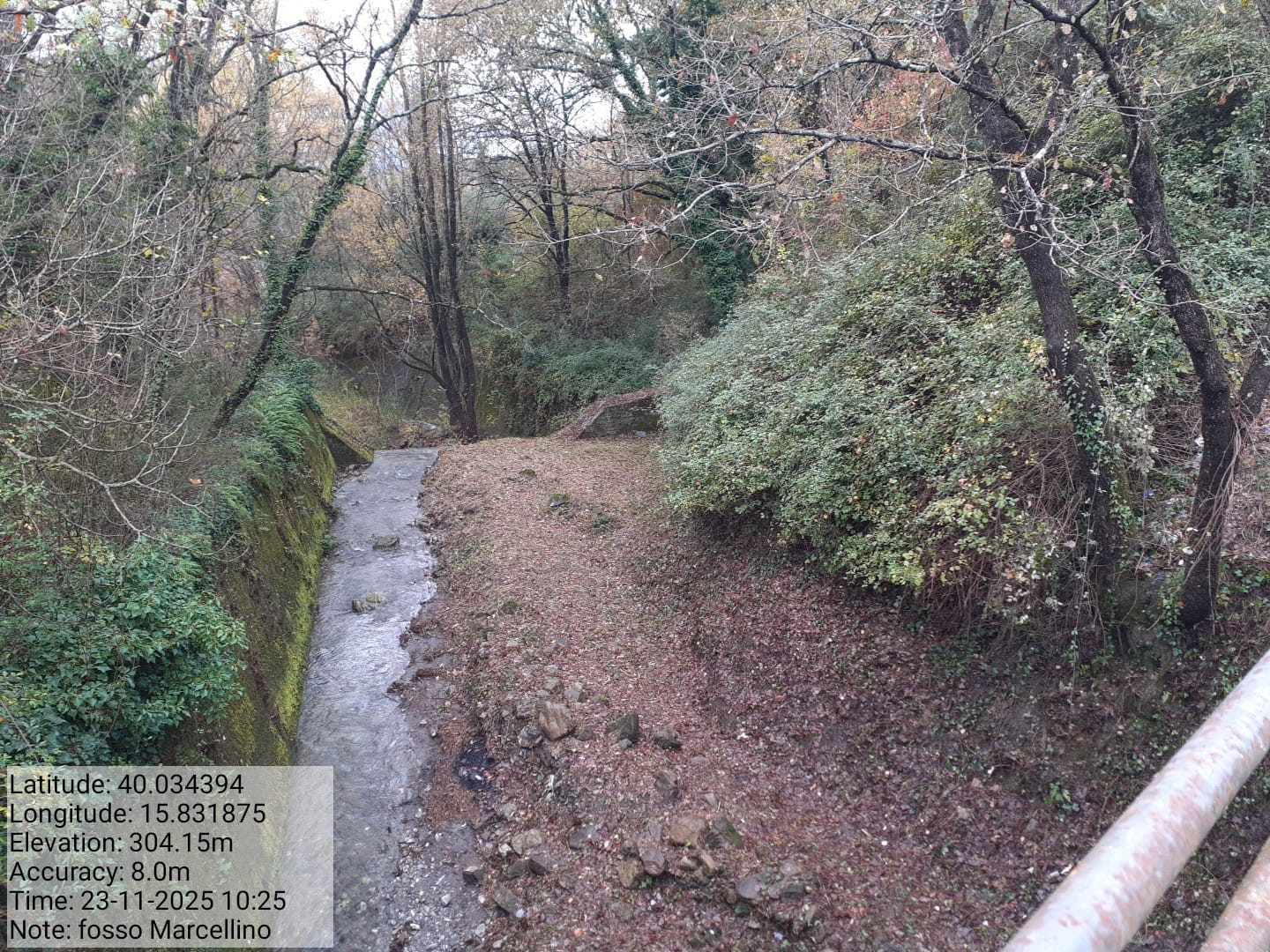 Galleria Fotografica Immagine