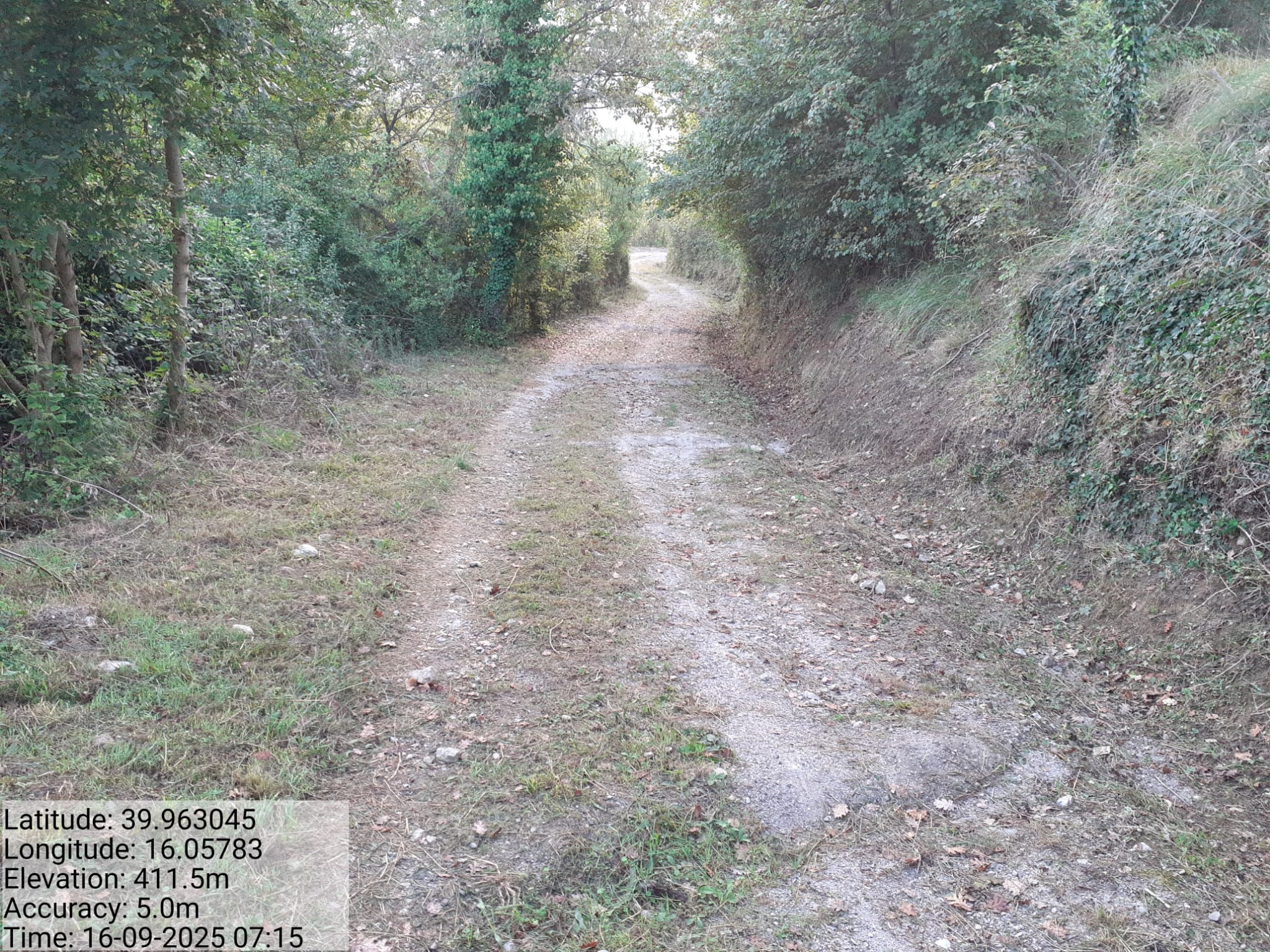 Galleria Fotografica Immagine