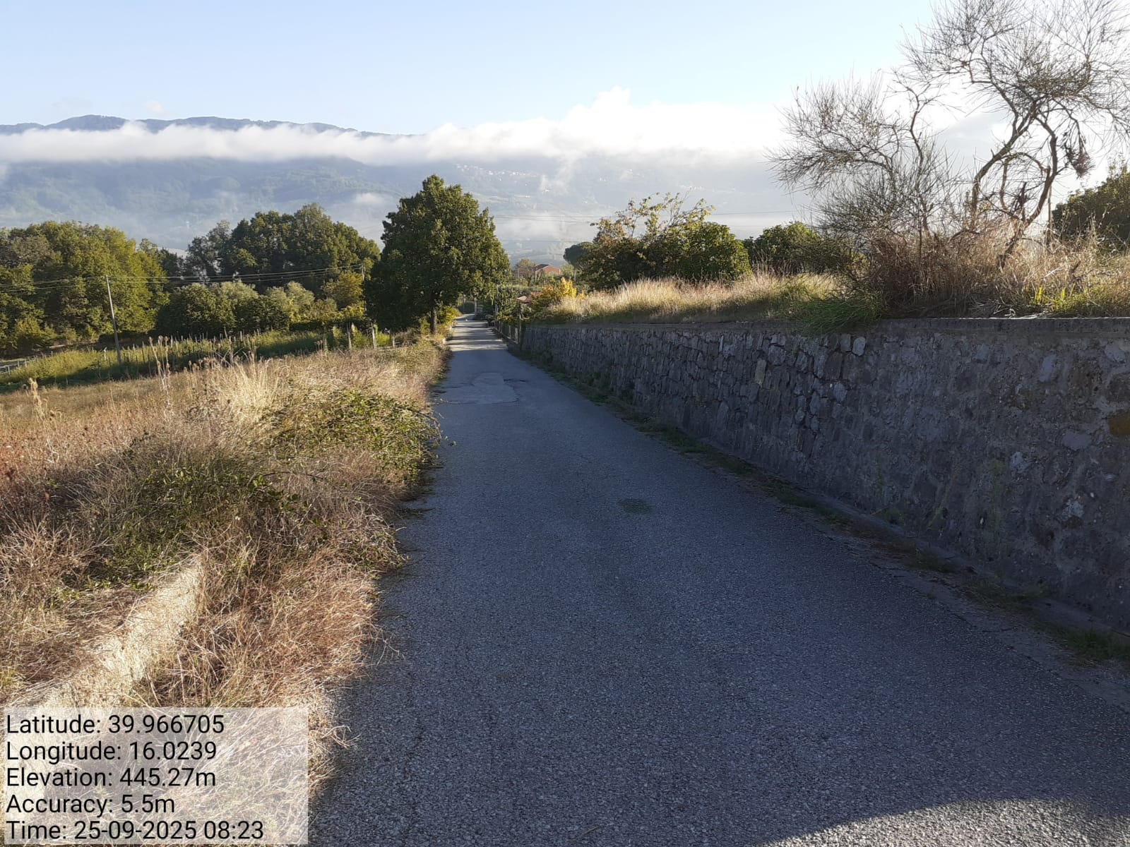 Galleria Fotografica Immagine