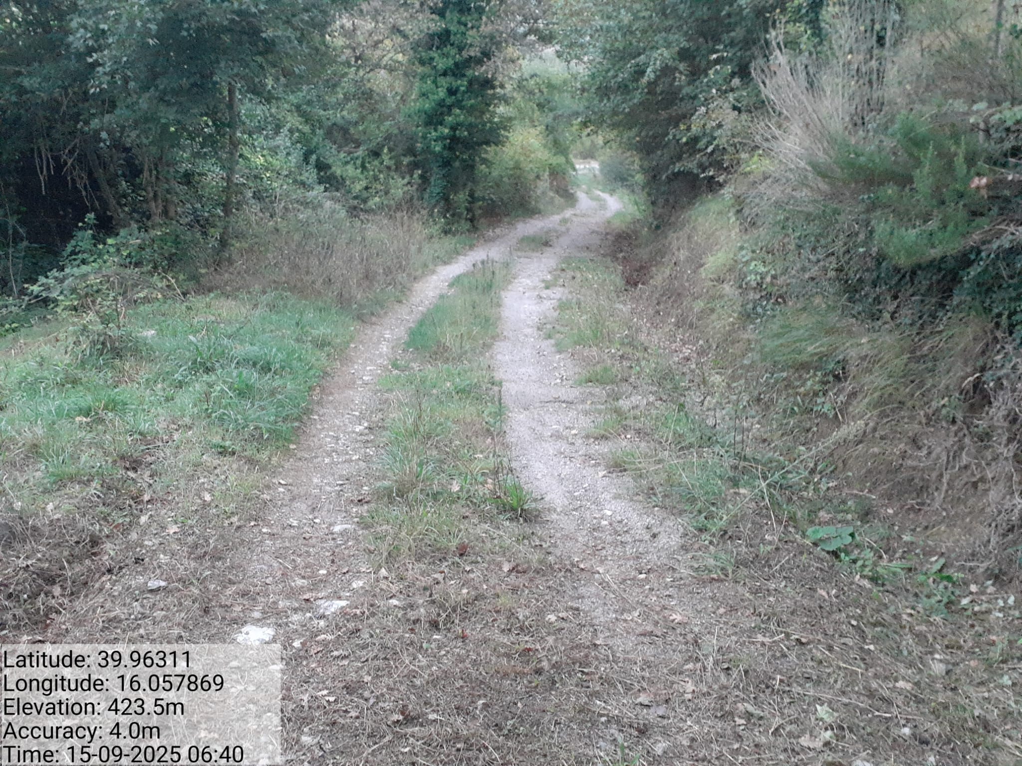 Galleria Fotografica Immagine