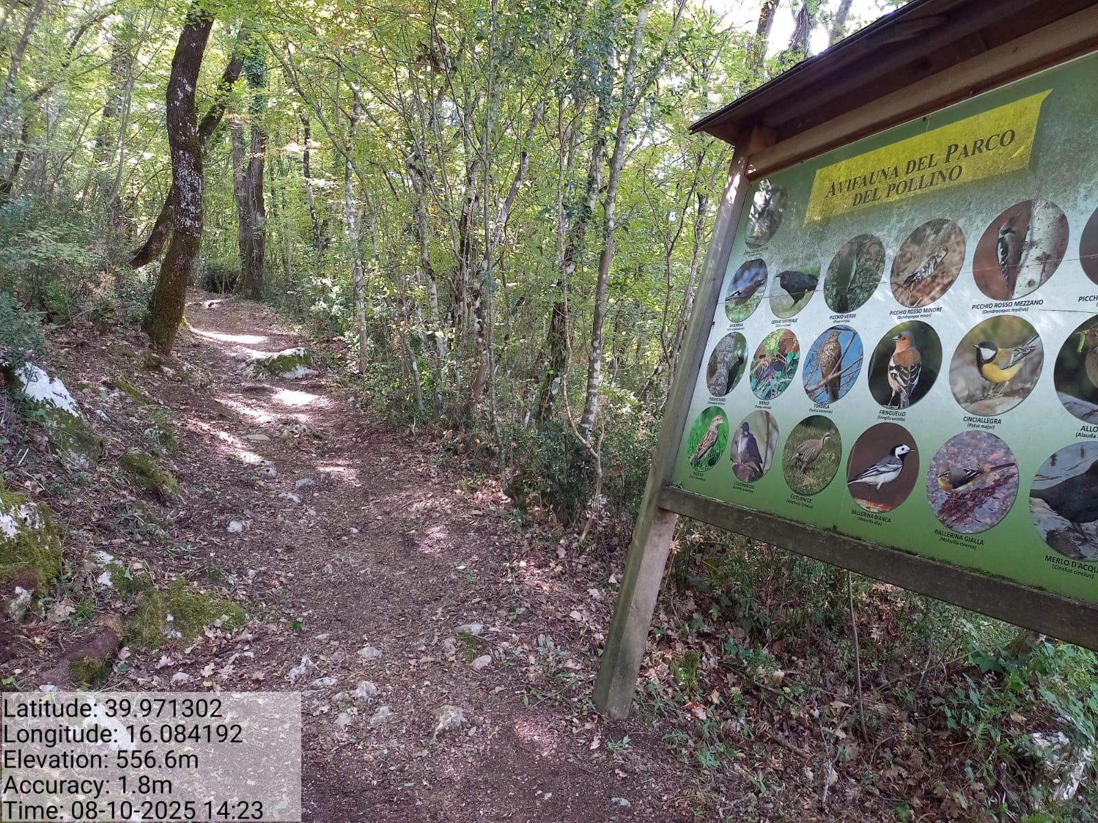 Galleria Fotografica Immagine