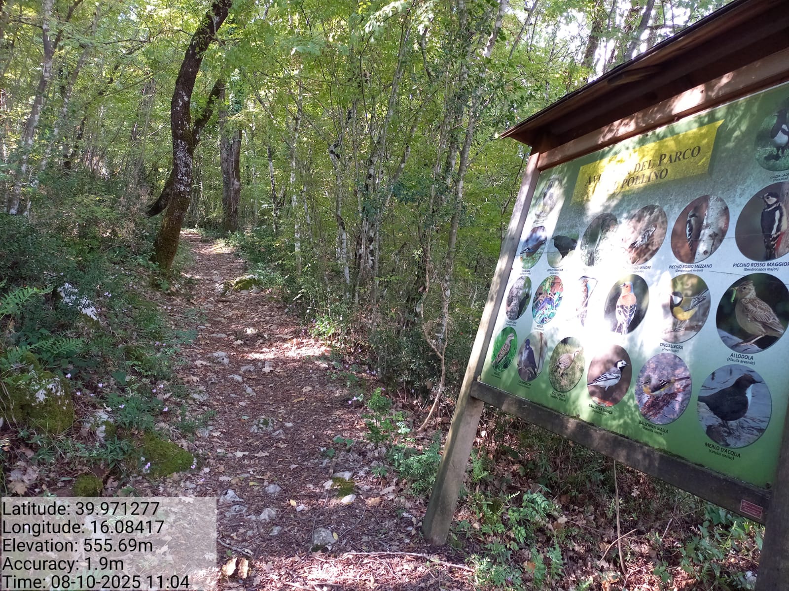 Galleria Fotografica Immagine