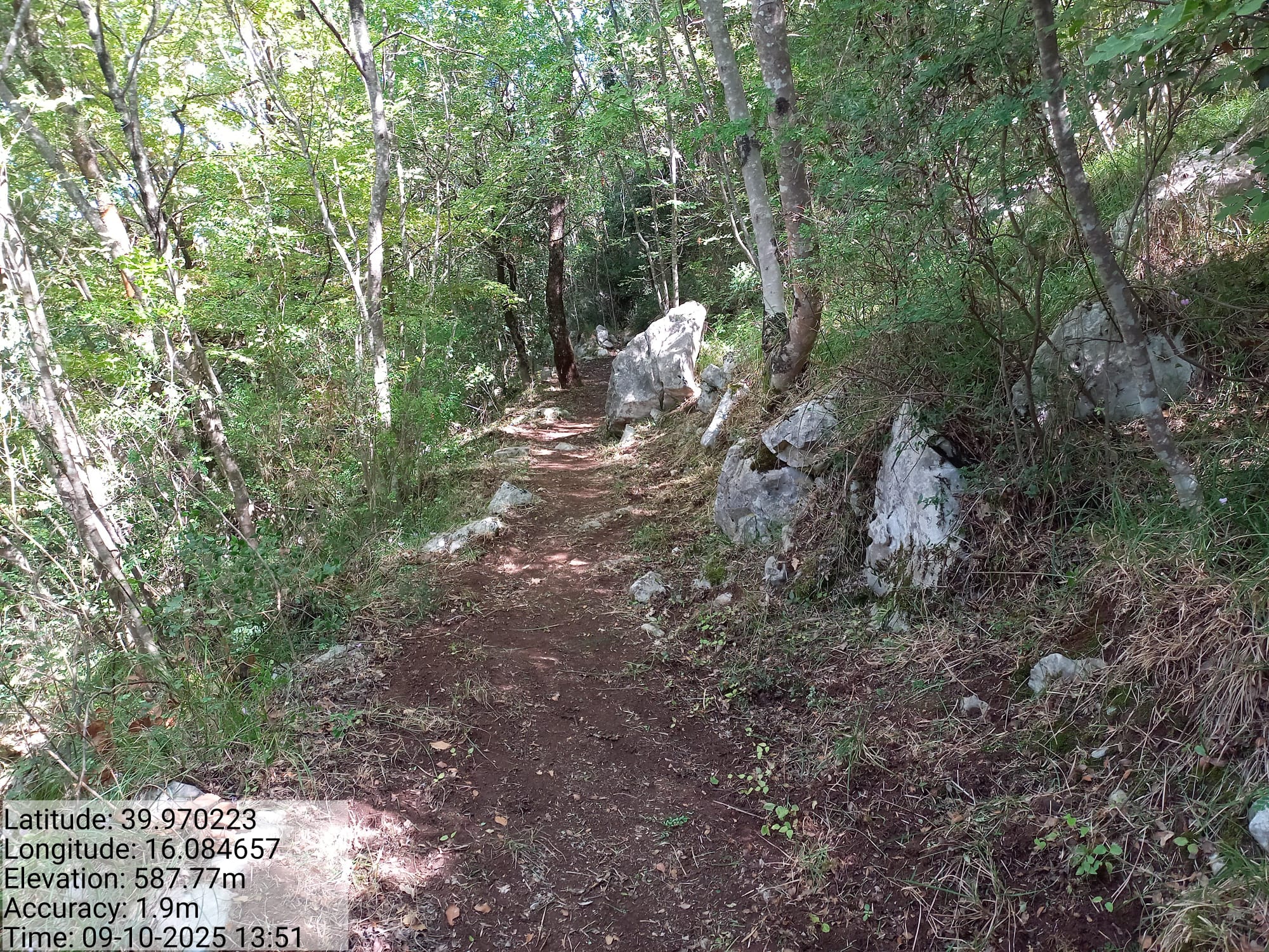 Galleria Fotografica Immagine