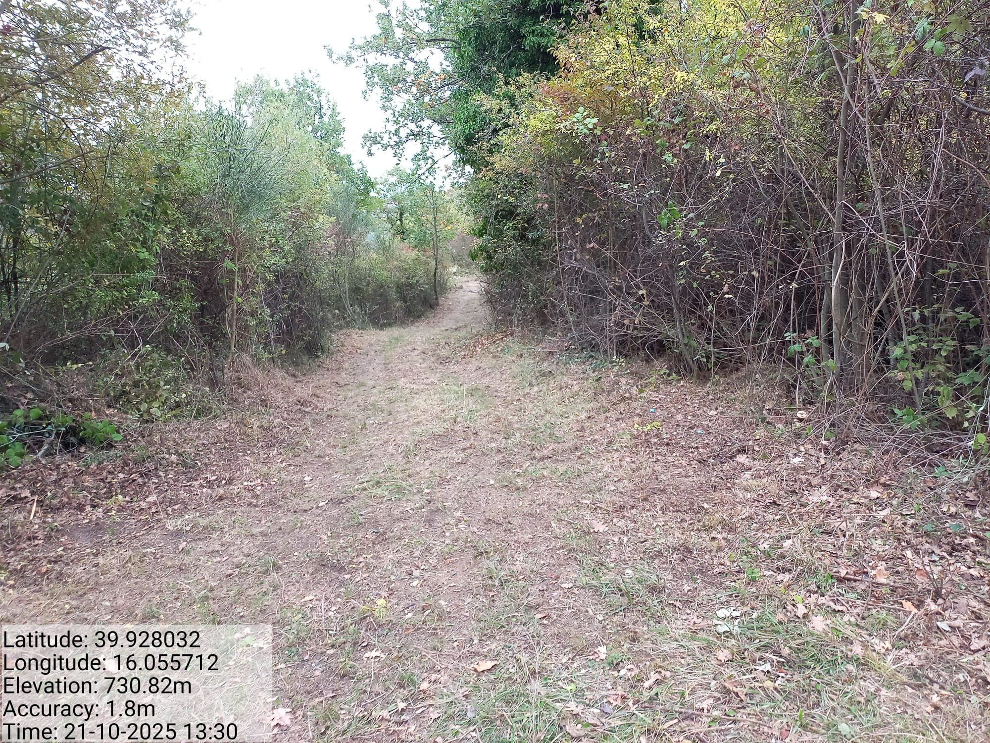 Galleria Fotografica Immagine