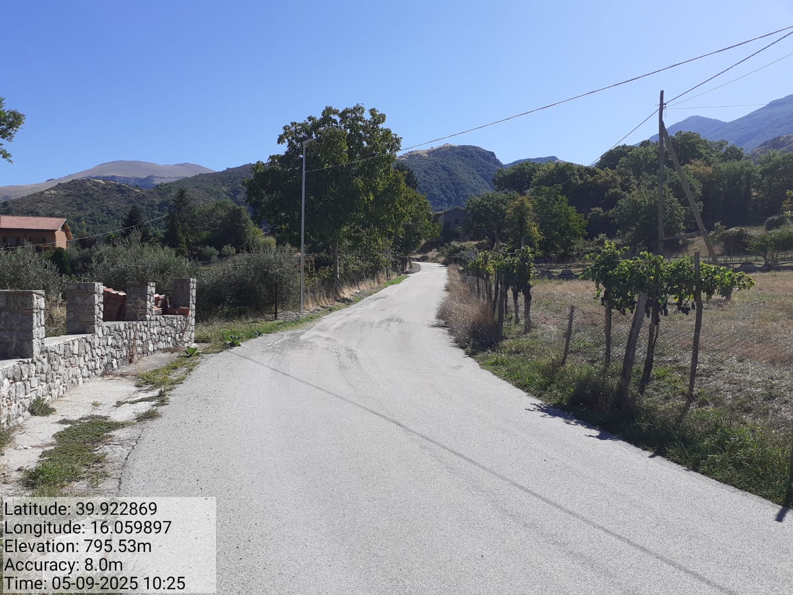 Galleria Fotografica Immagine