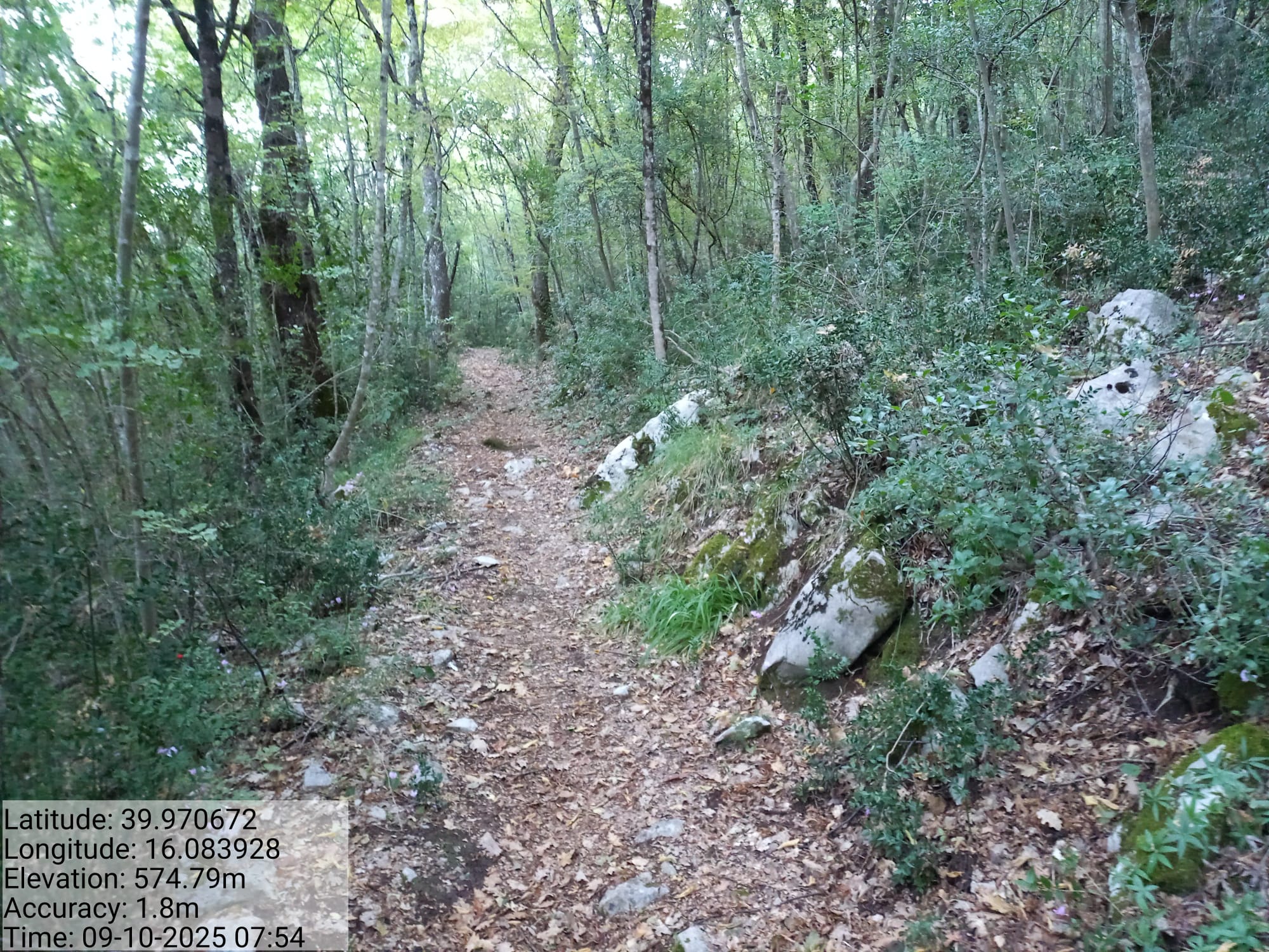 Galleria Fotografica Immagine