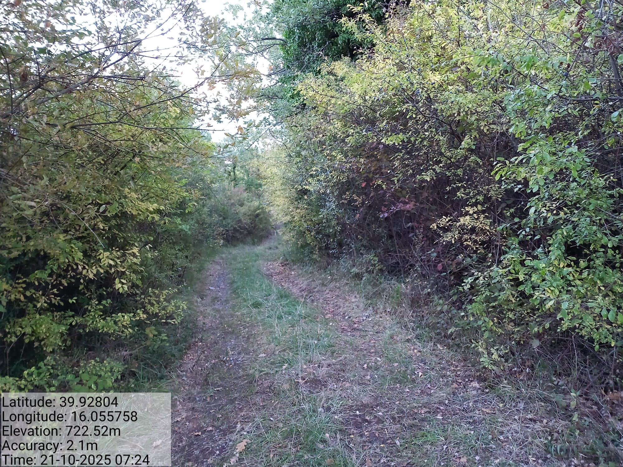 Galleria Fotografica Immagine