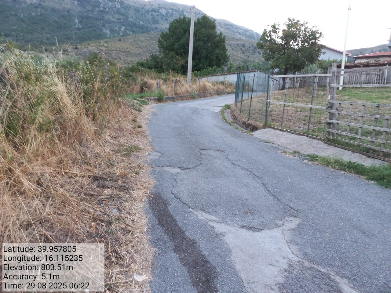 Galleria Fotografica Immagine