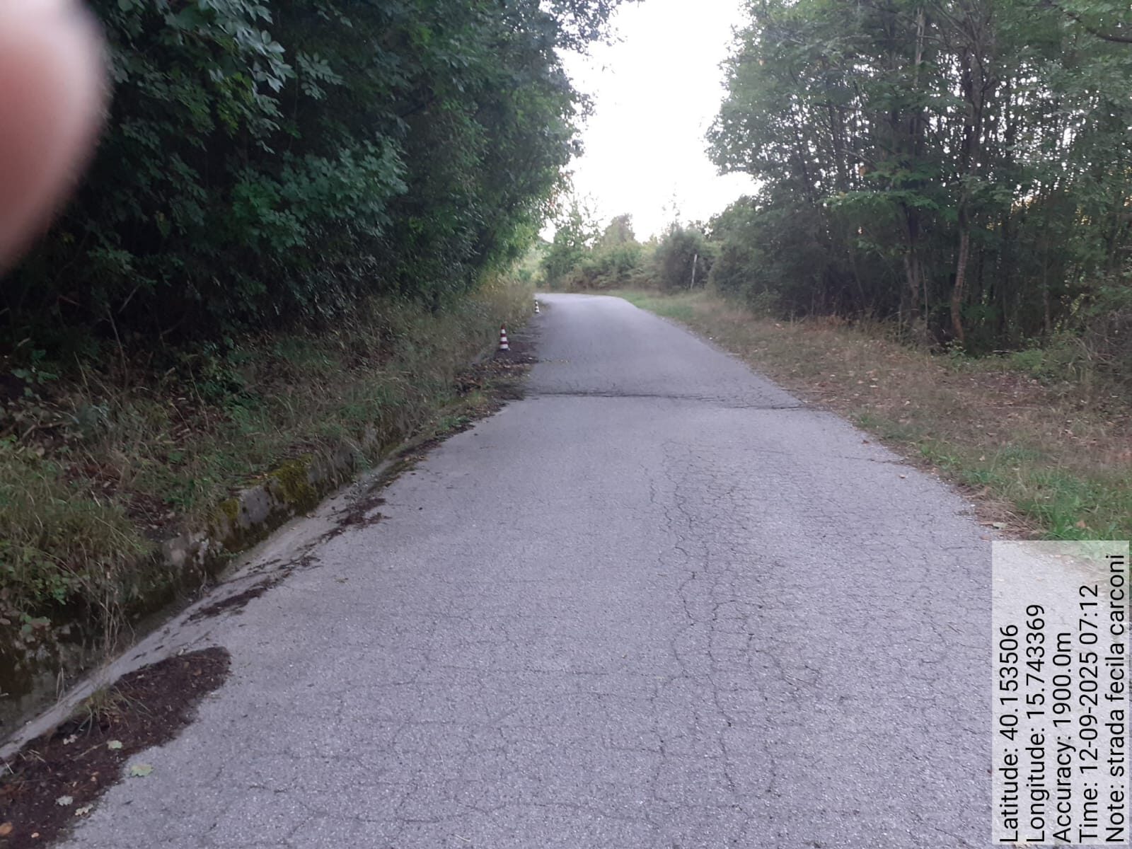 Galleria Fotografica Immagine