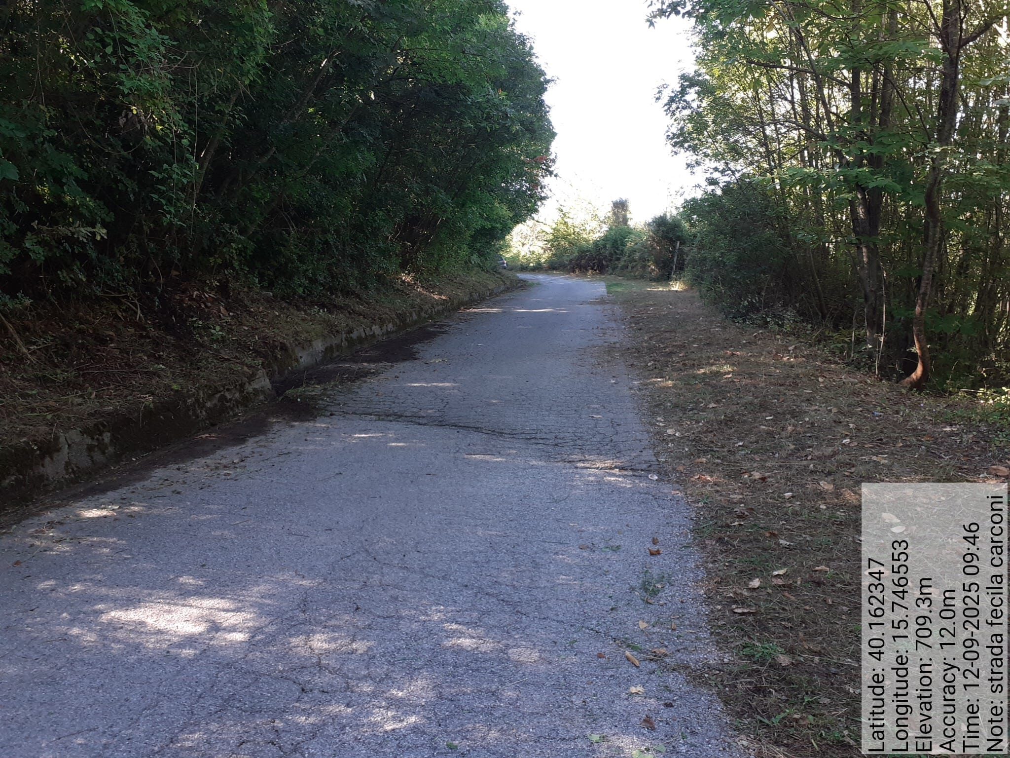 Galleria Fotografica Immagine