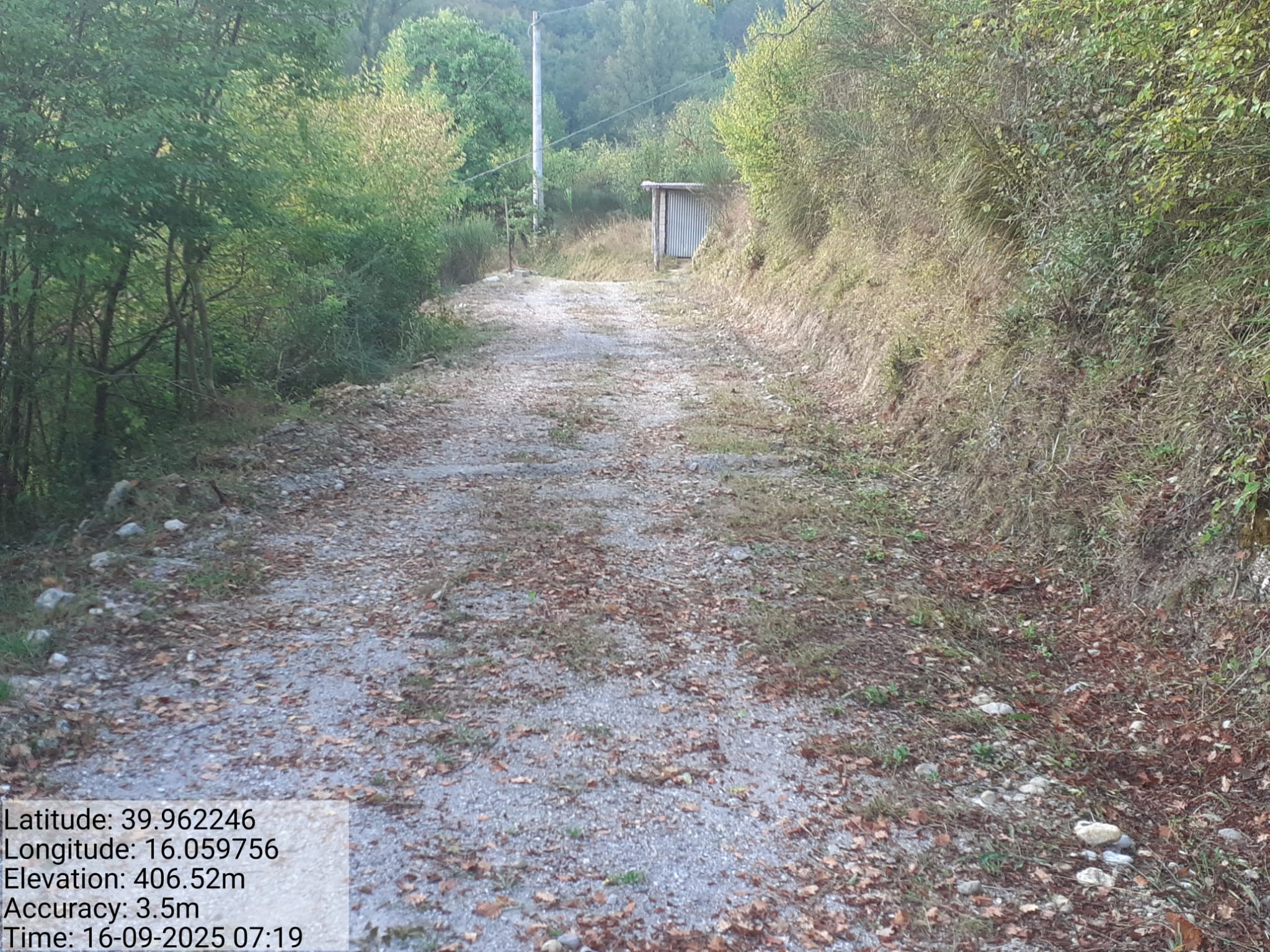 Galleria Fotografica Immagine