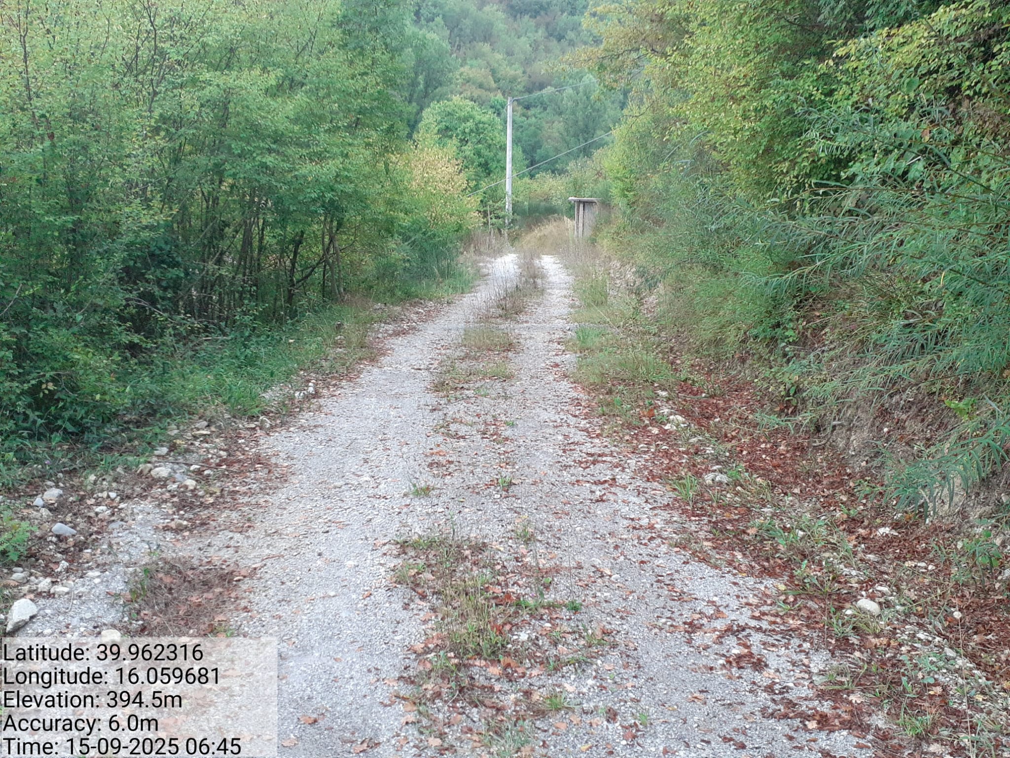 Galleria Fotografica Immagine