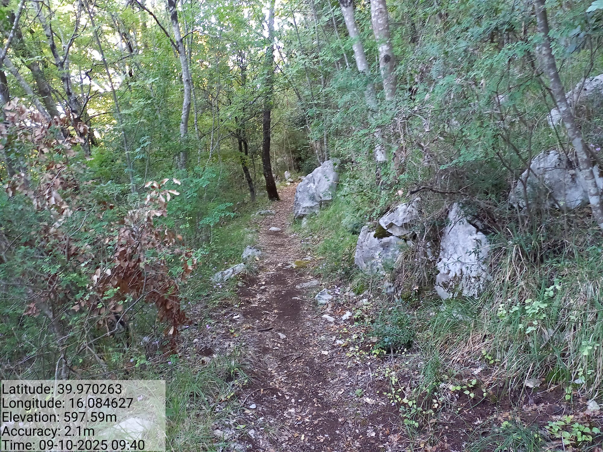 Galleria Fotografica Immagine