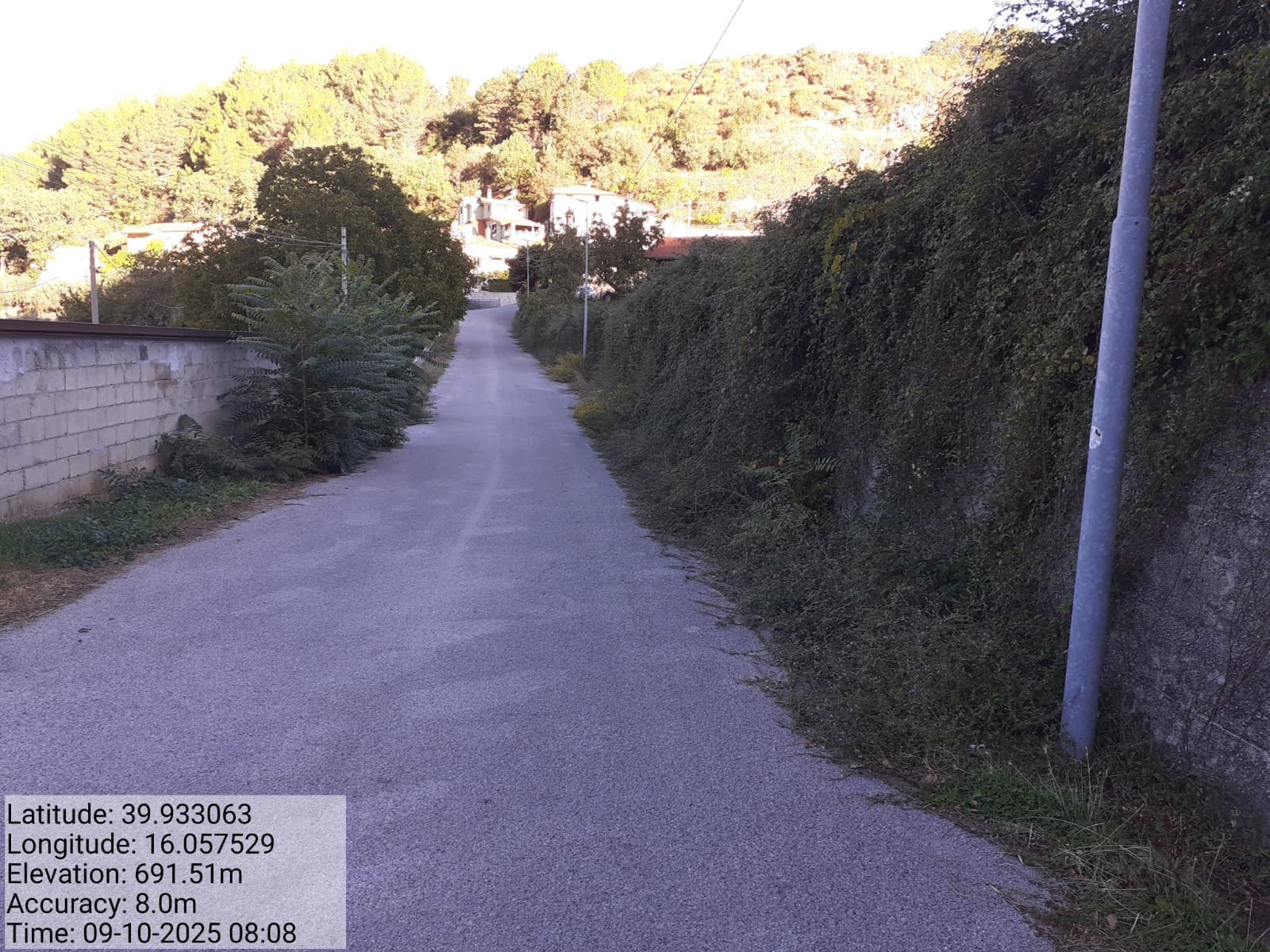 Galleria Fotografica Immagine