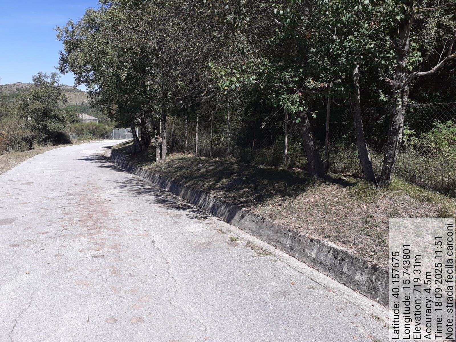 Galleria Fotografica Immagine