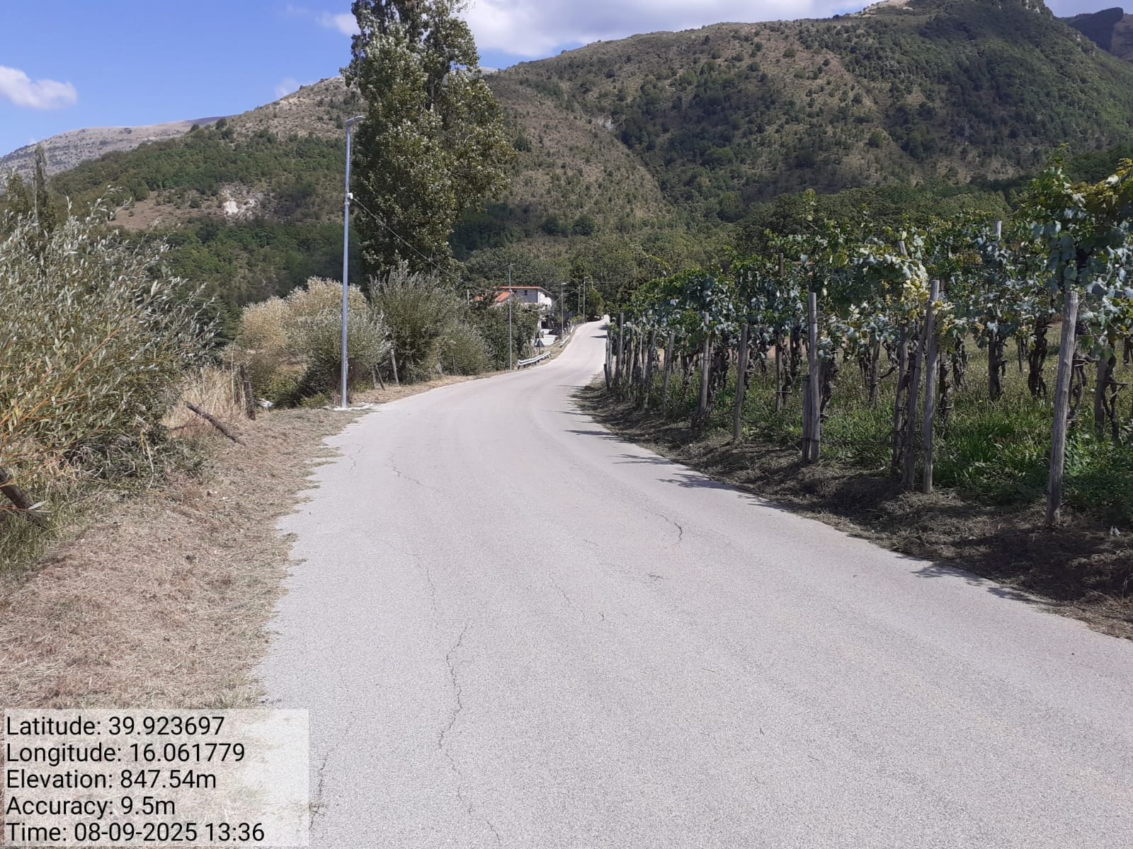 Galleria Fotografica Immagine