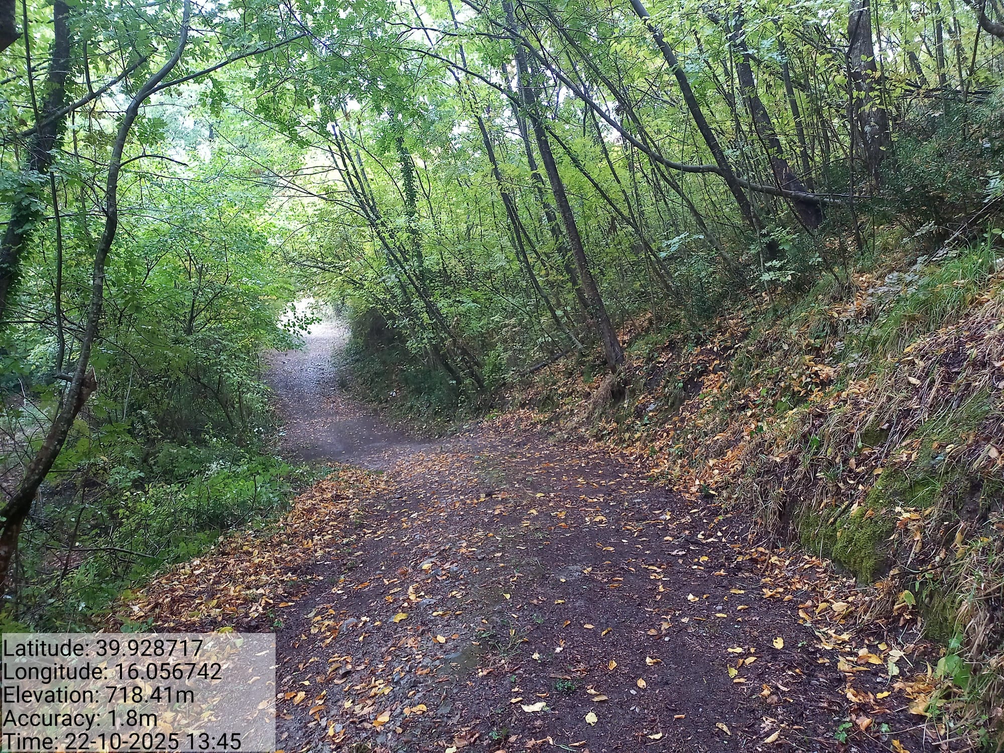 Galleria Fotografica Immagine