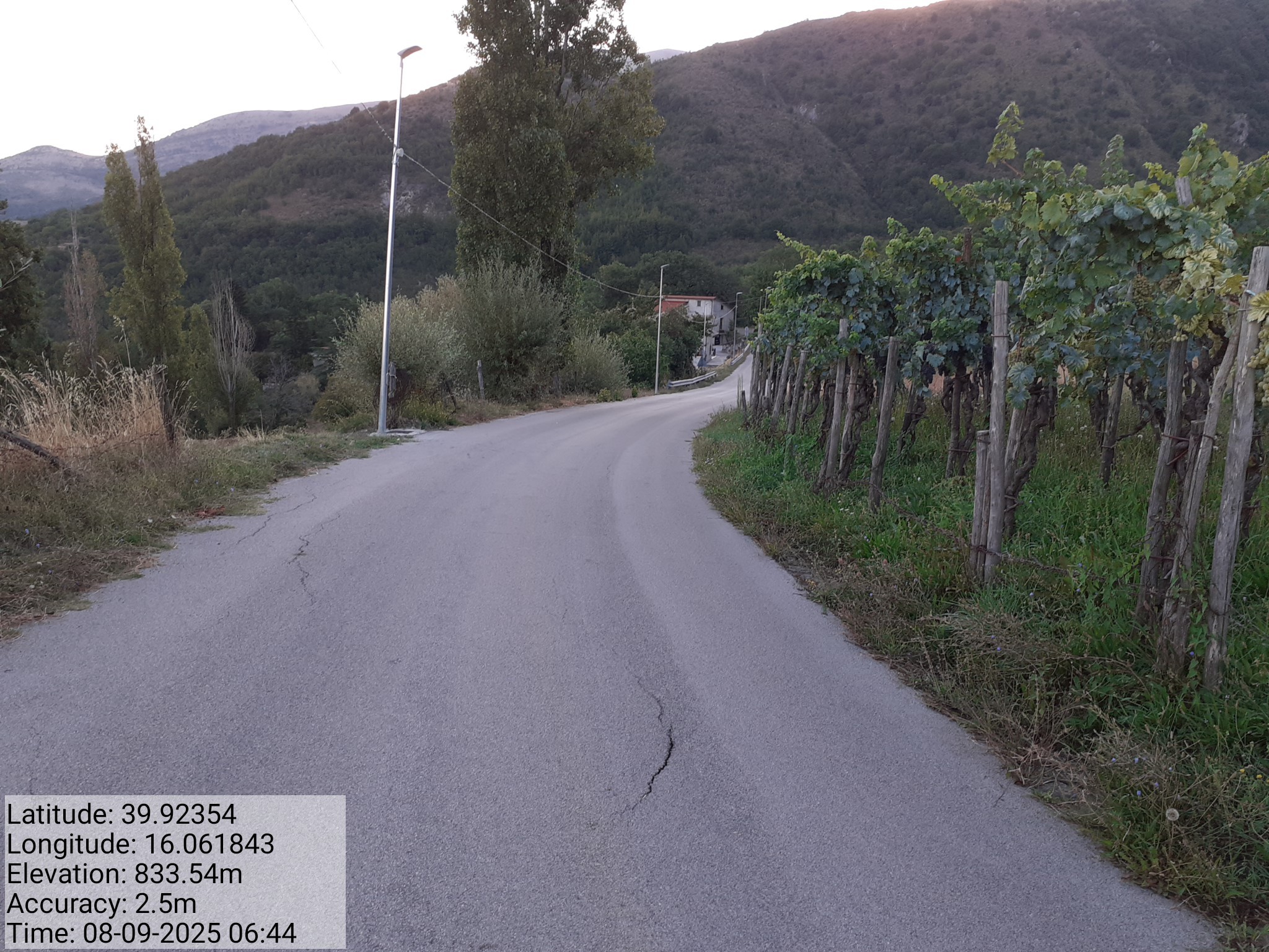 Galleria Fotografica Immagine