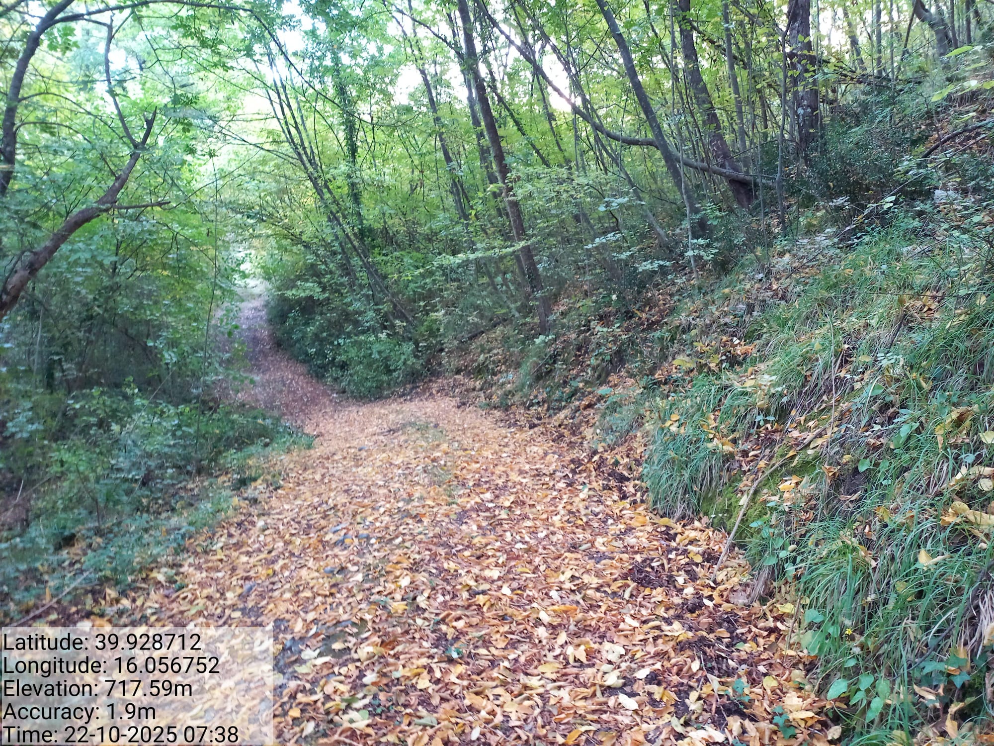 Galleria Fotografica Immagine