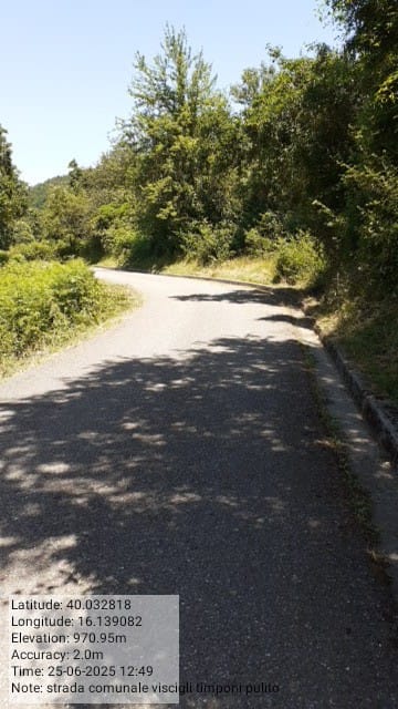 Galleria Fotografica Immagine