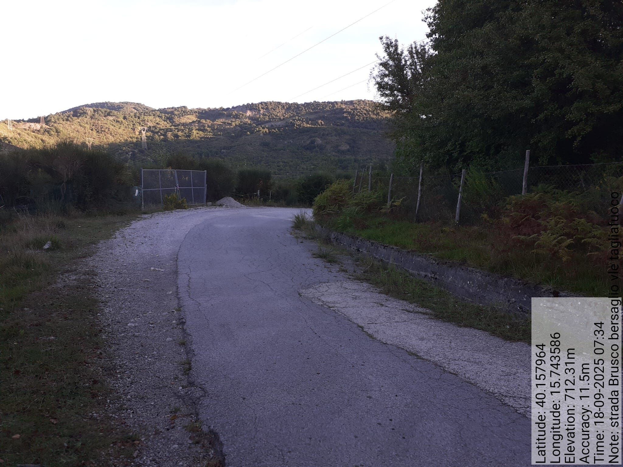 Galleria Fotografica Immagine